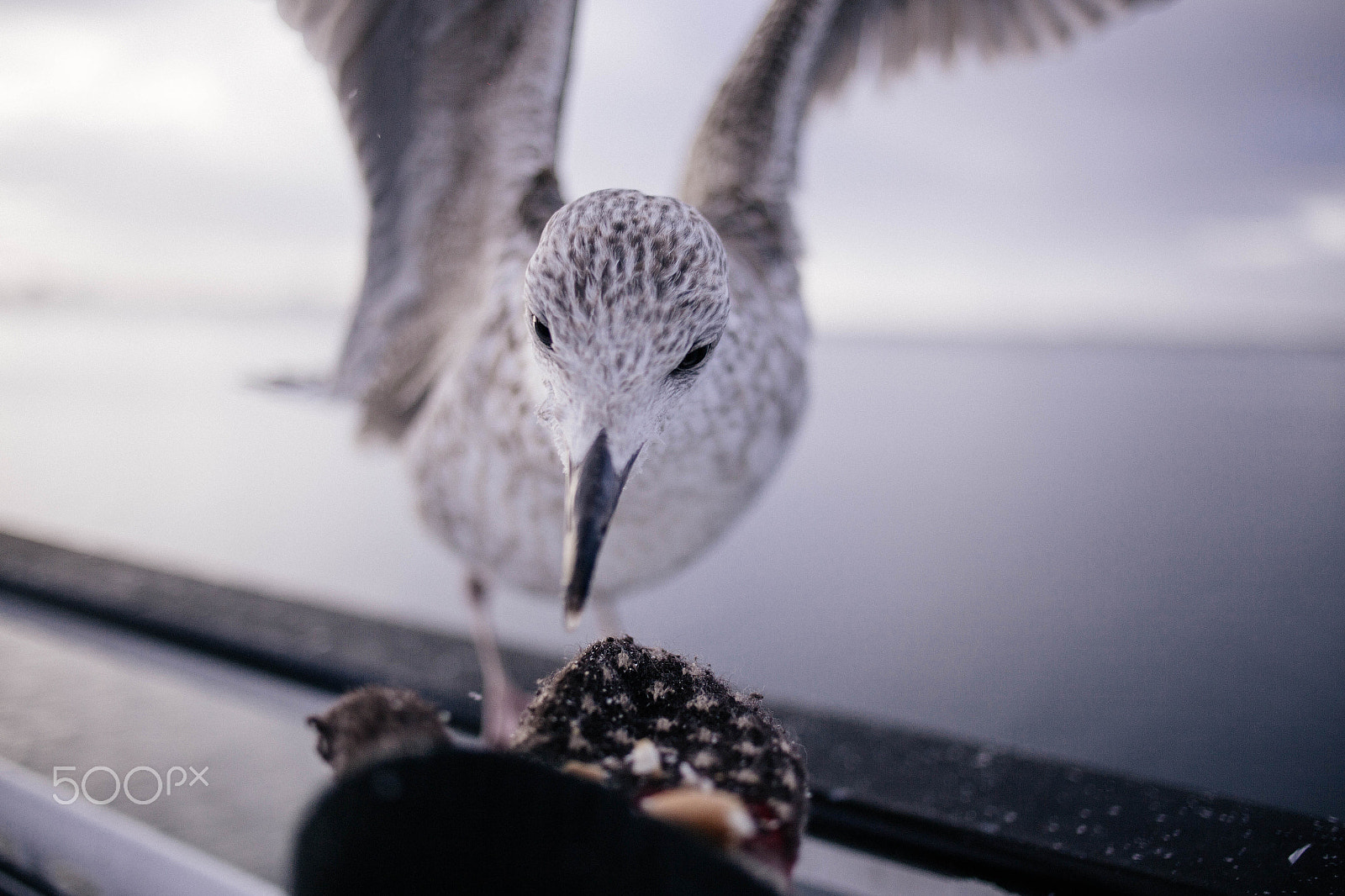 Canon EOS 6D + Canon EF 35mm F2 sample photo. Img photography