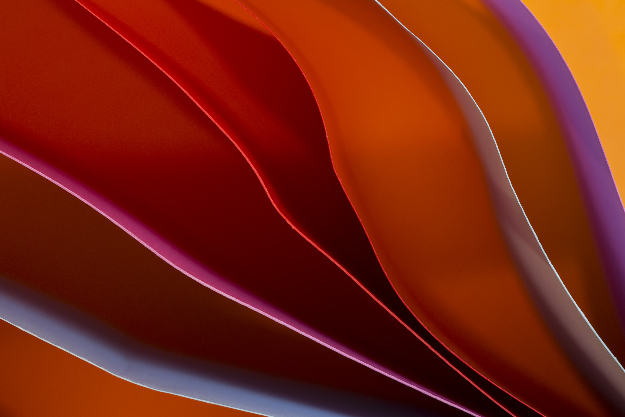 Canon EF 100mm F2.8 Macro USM sample photo. Paper art iii photography