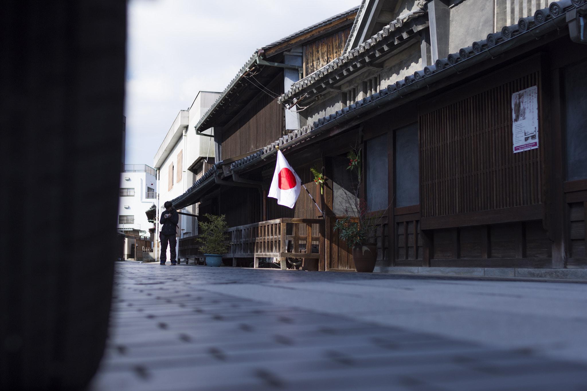 Nikon D7200 sample photo. The cat is watching. photography