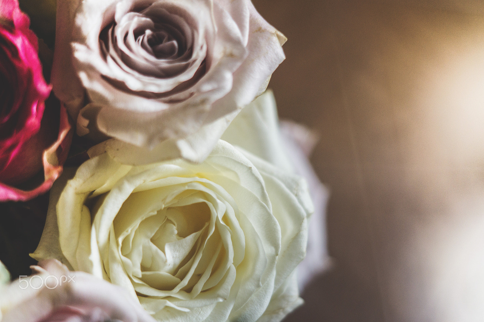 Sony SLT-A58 + Sony DT 50mm F1.8 SAM sample photo. Flowers of love photography