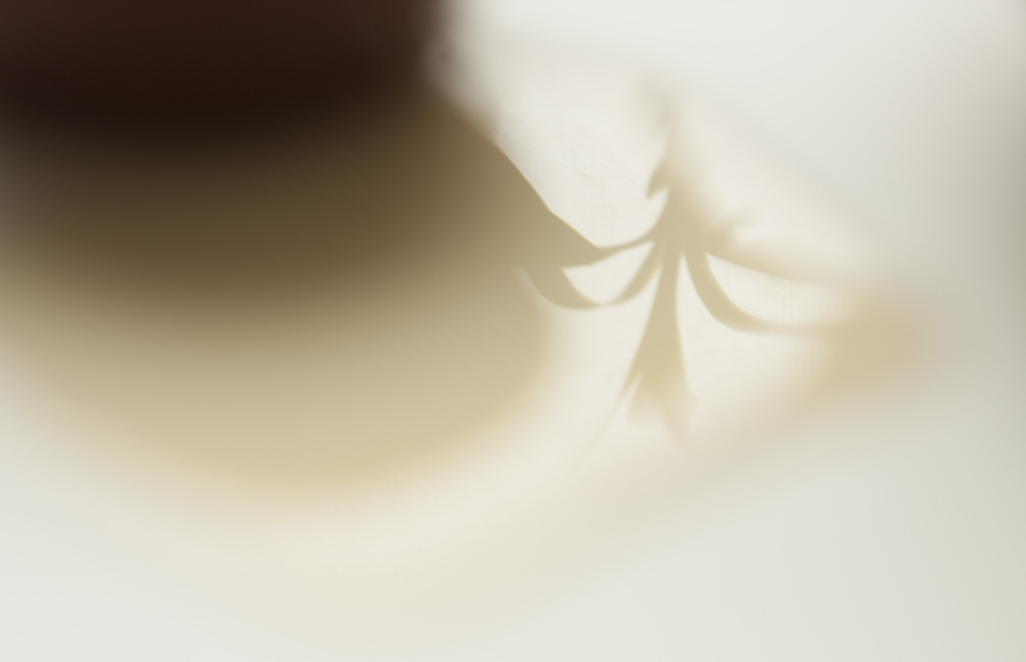 Canon EOS 40D + Canon EF 24-105mm F4L IS USM sample photo. Beautea photography