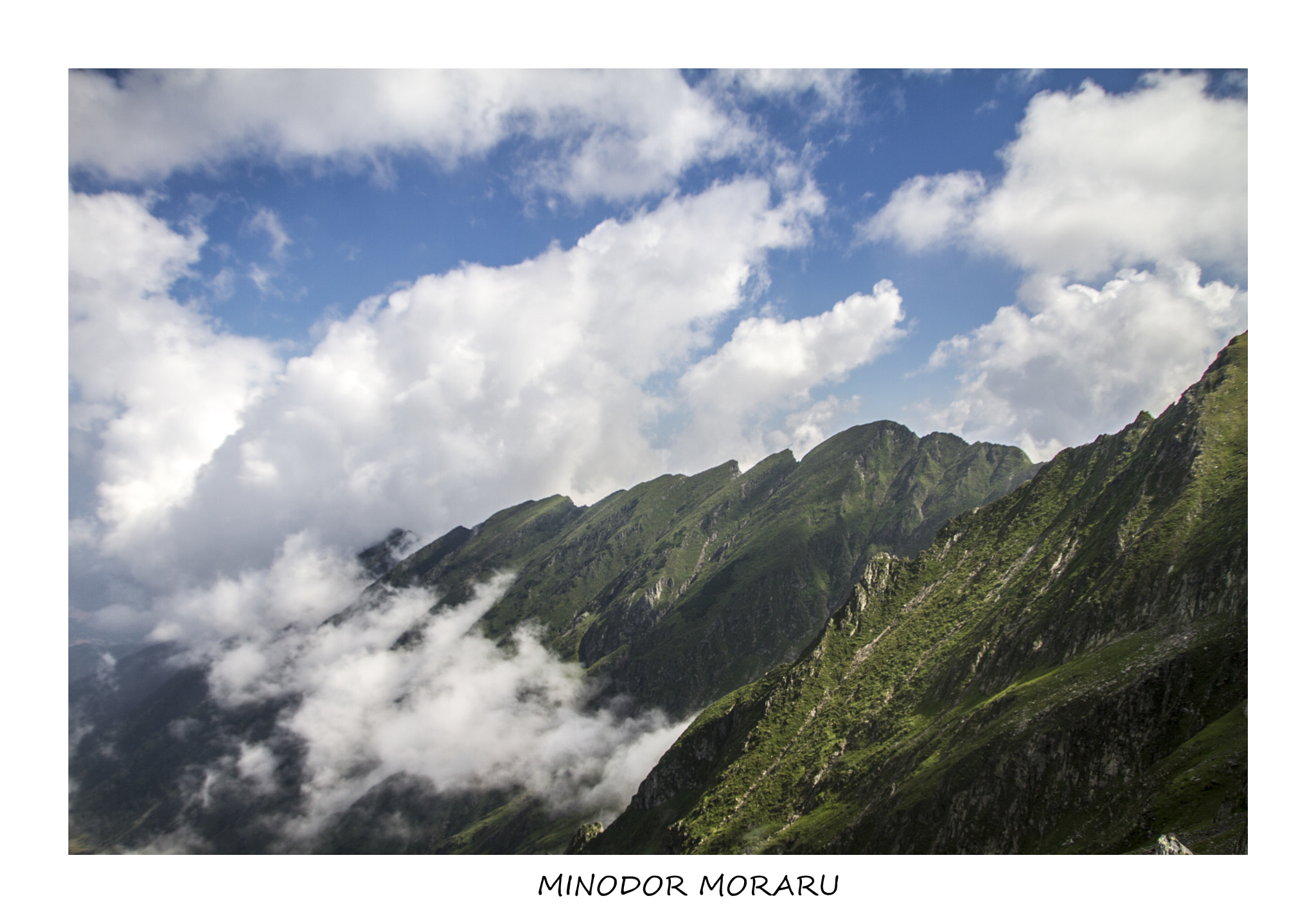 Sigma 18-250mm F3.5-6.3 DC OS HSM sample photo. Another day in paradise photography