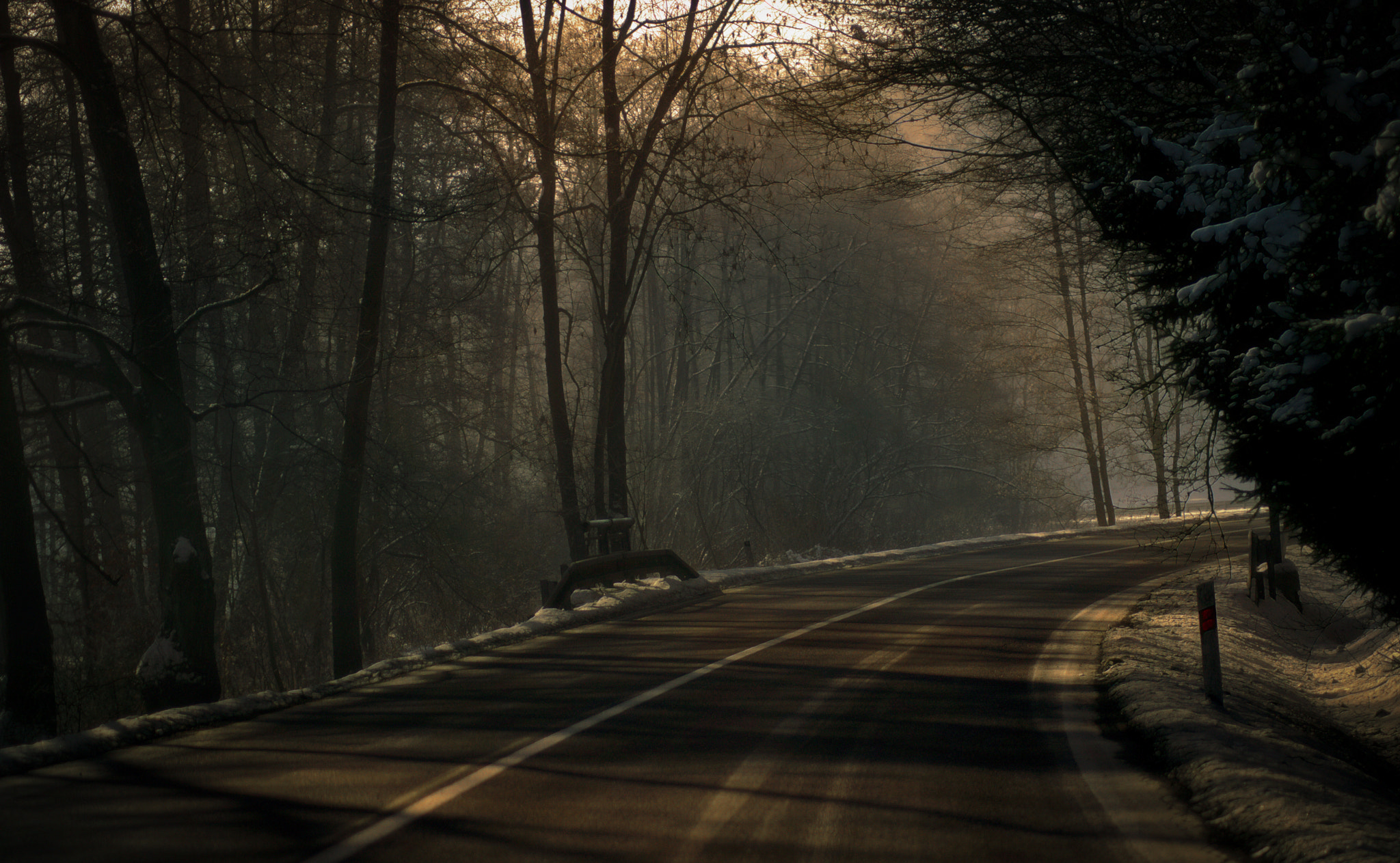 Nikon D3200 sample photo. Sunshine photography