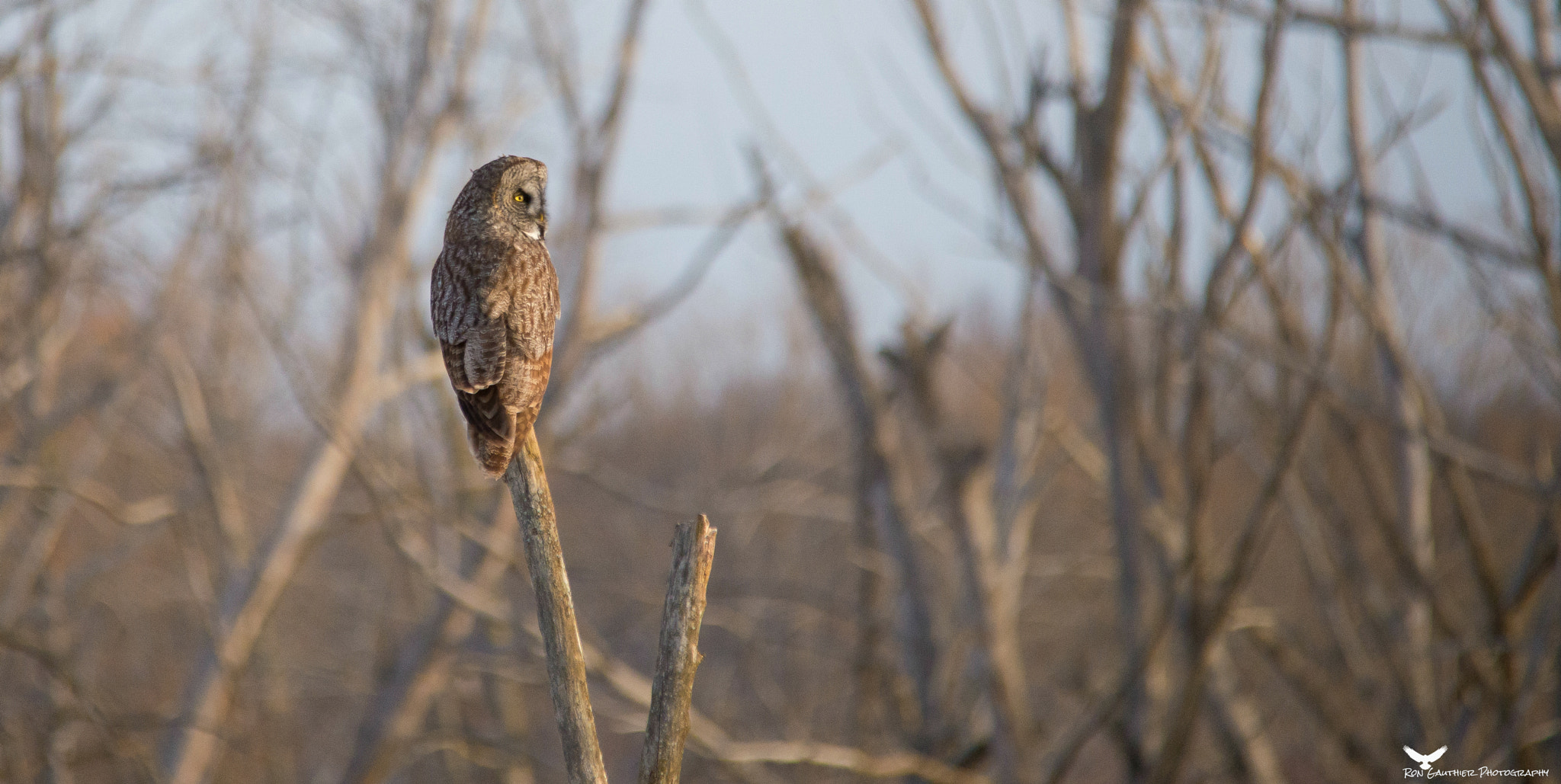 Sigma 150-500mm F5-6.3 DG OS HSM sample photo. This is my land ! photography