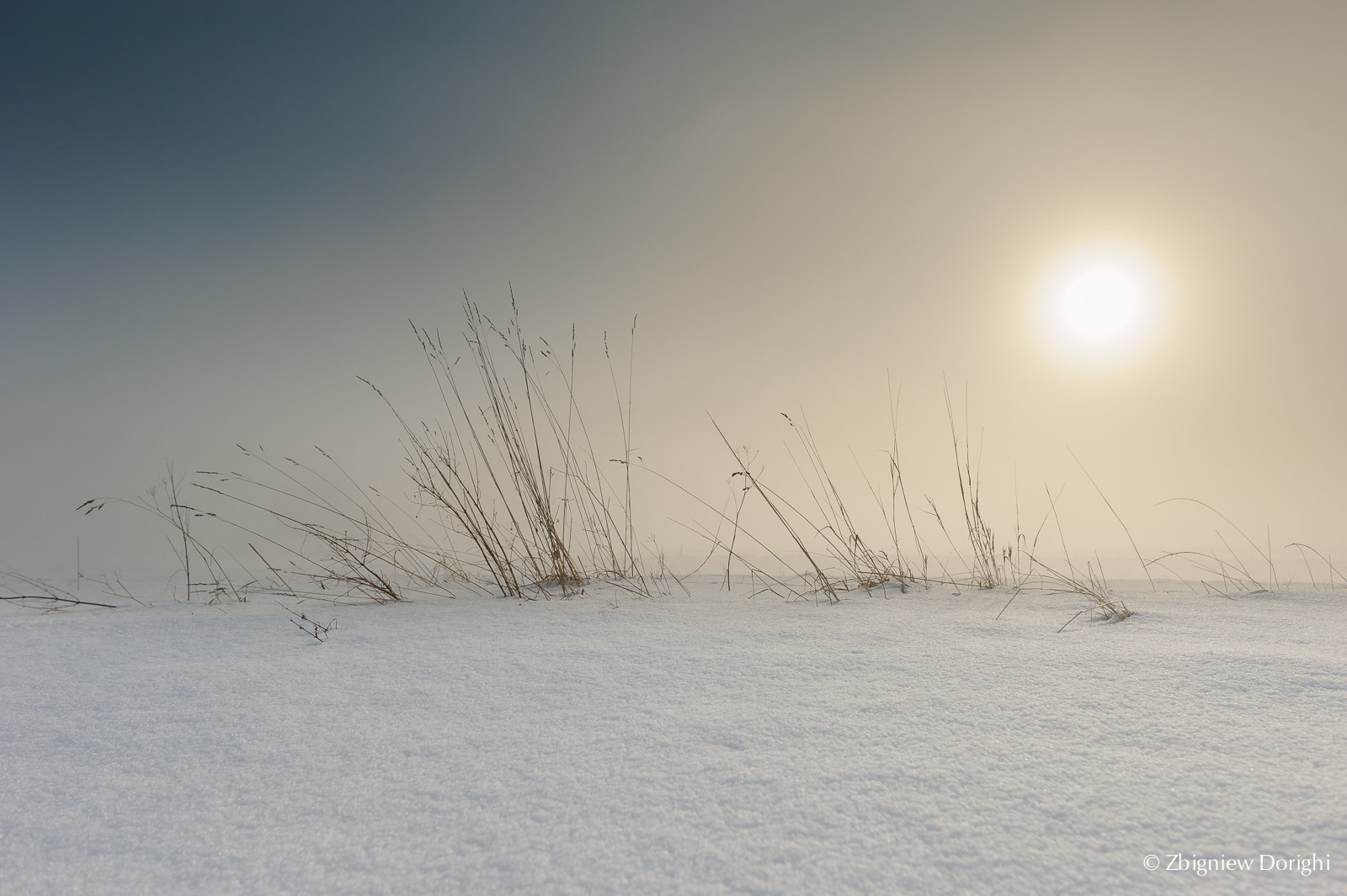 Nikon D700 + Sigma 24mm F1.8 EX DG Aspherical Macro sample photo. Grassfield covered by snow photography
