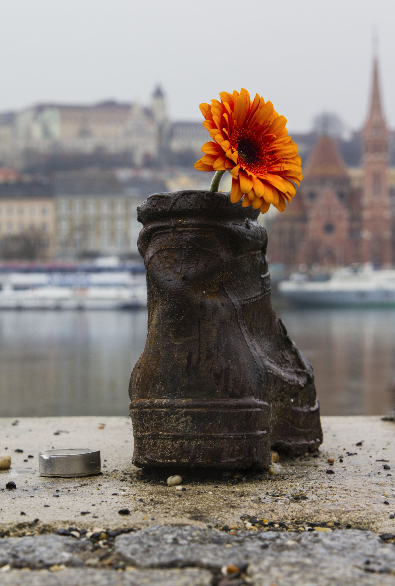 Canon EOS 7D + Tamron AF 28-75mm F2.8 XR Di LD Aspherical (IF) sample photo. Budapest flower photography