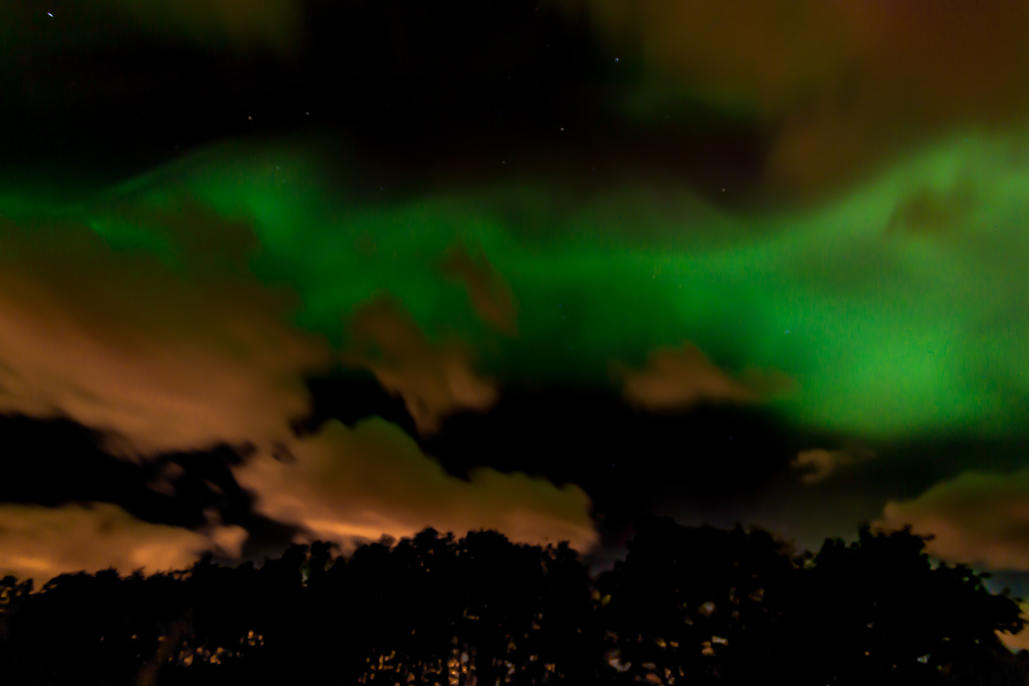 Nikon D3100 sample photo. Northern lights over estonia photography