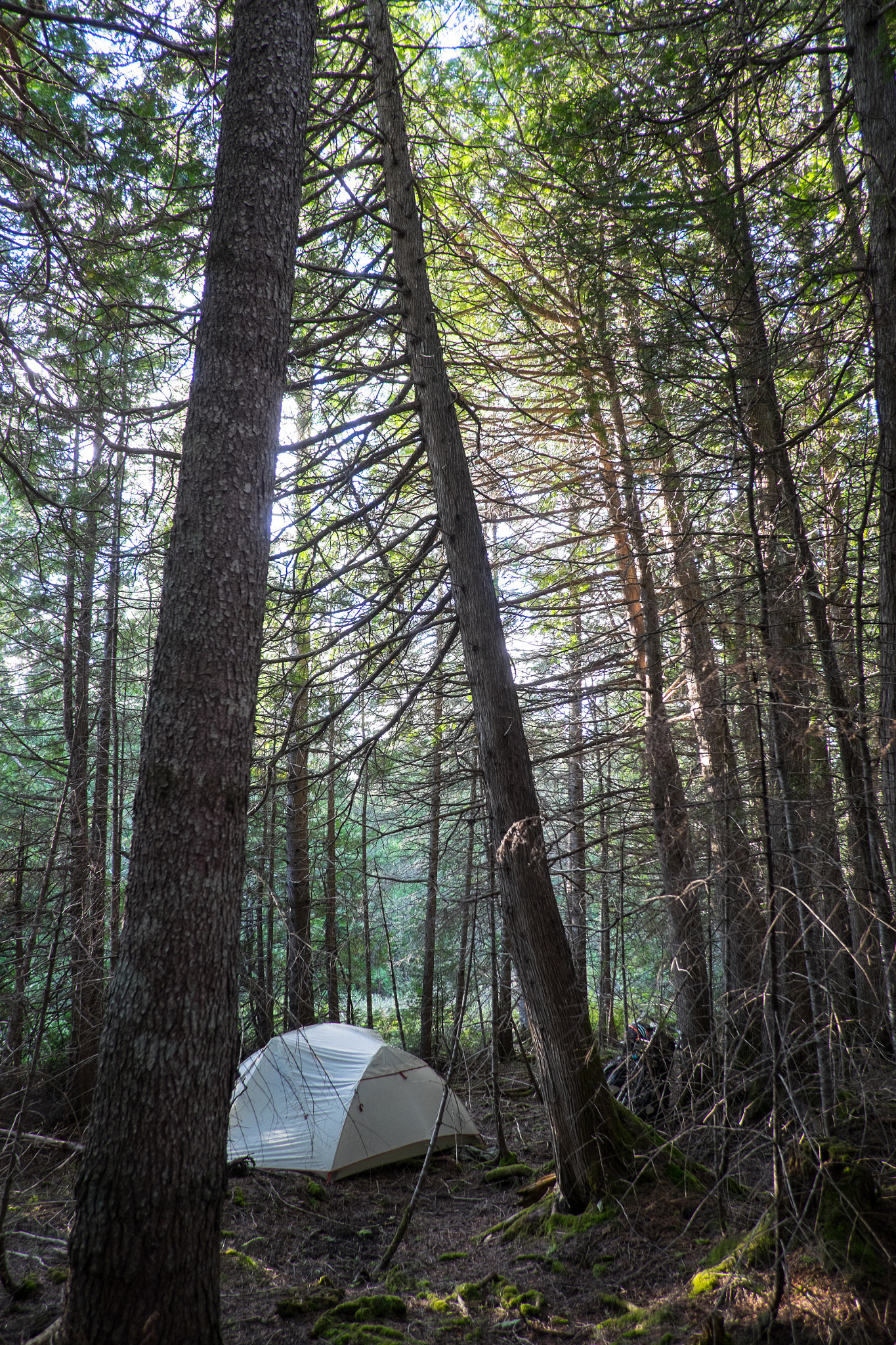 Fujifilm X-T1 + Fujifilm XF 18mm F2 R sample photo. Home for the night photography