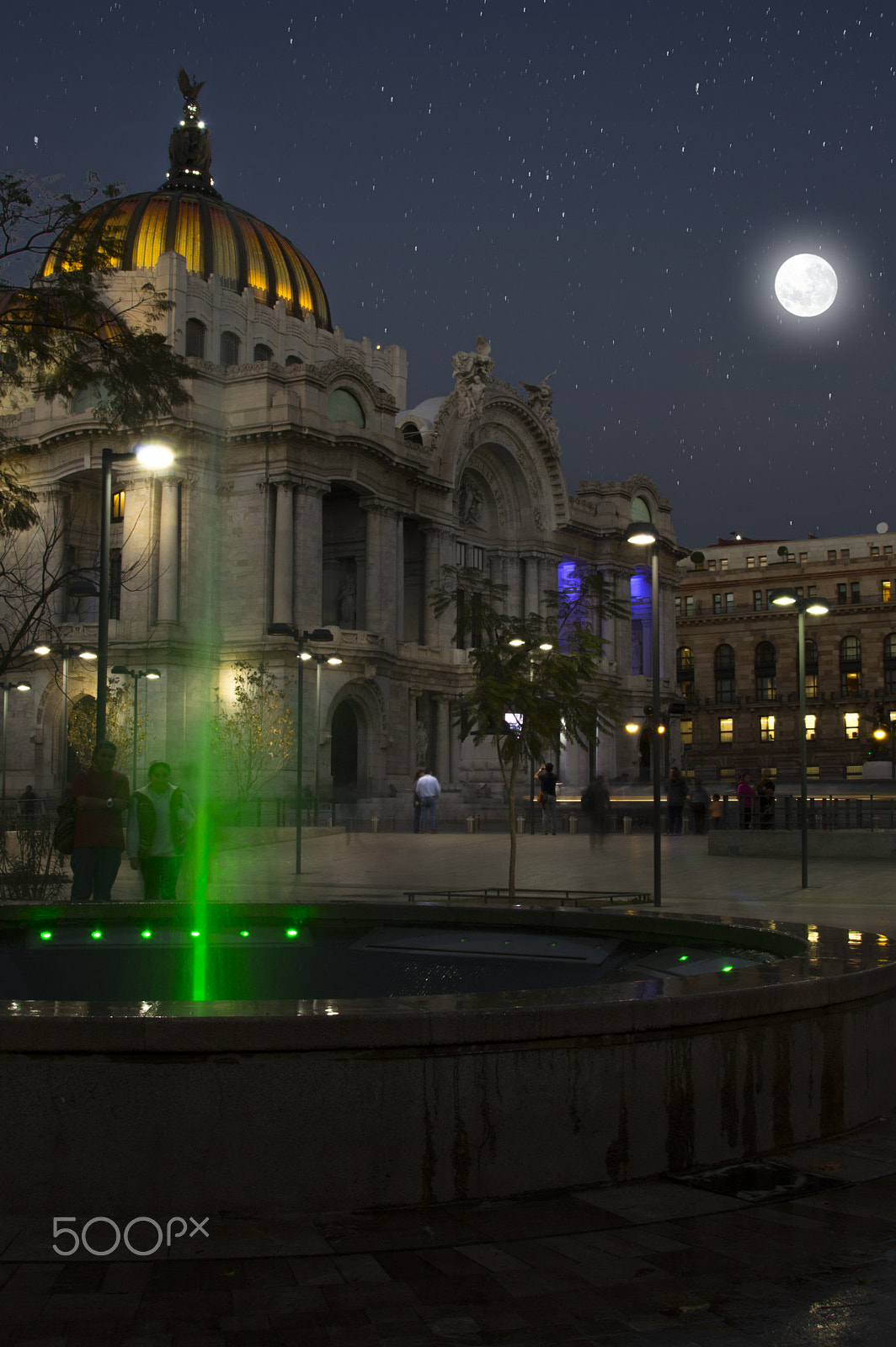 Nikon AF-S Nikkor 24-120mm F4G ED VR sample photo. Palace of beauty art mexico photography