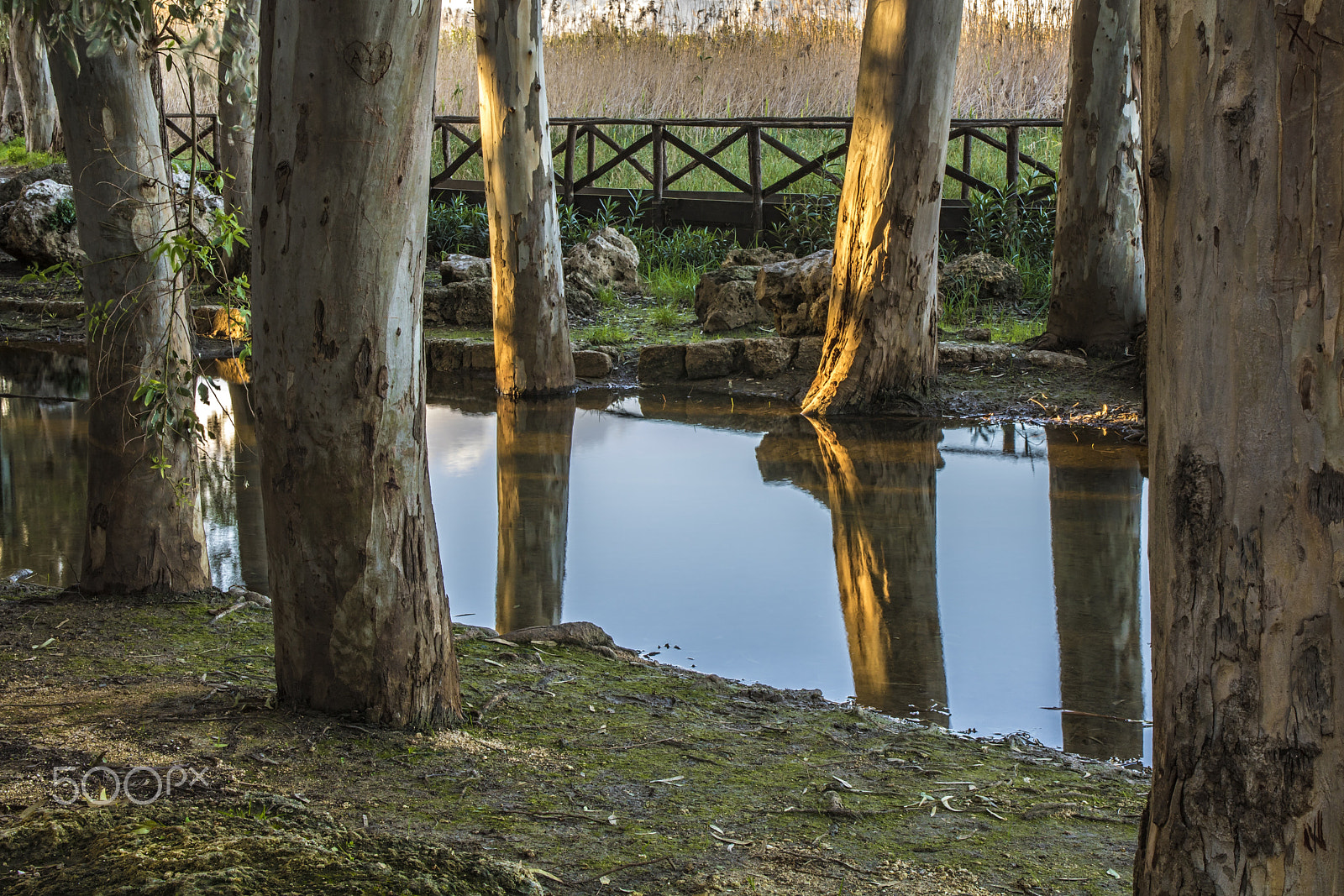 Sigma 17-70mm F2.8-4 DC Macro OS HSM sample photo. River "ciane" photography