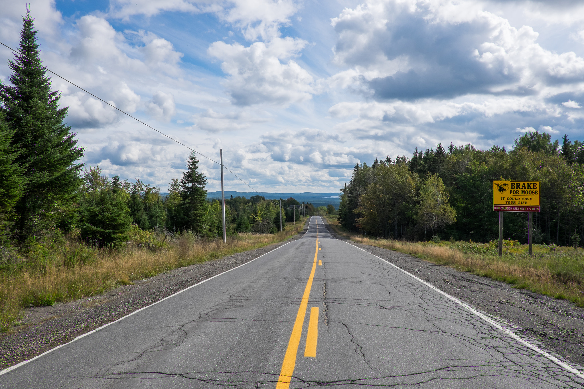 Fujifilm X-T1 + Fujifilm XF 18mm F2 R sample photo. Brake for moose photography