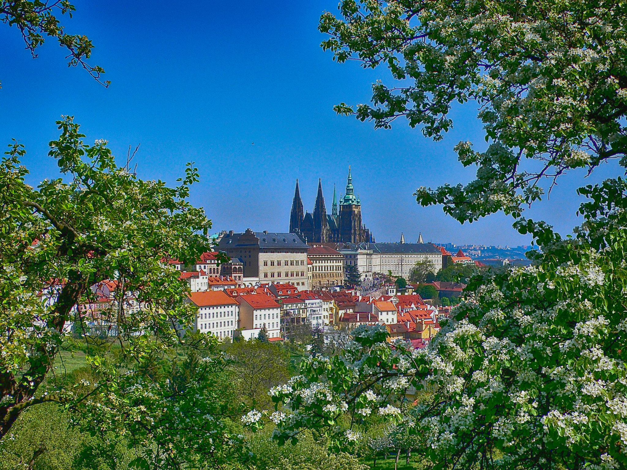 Panasonic DMC-LX1 sample photo. View over prague castle photography