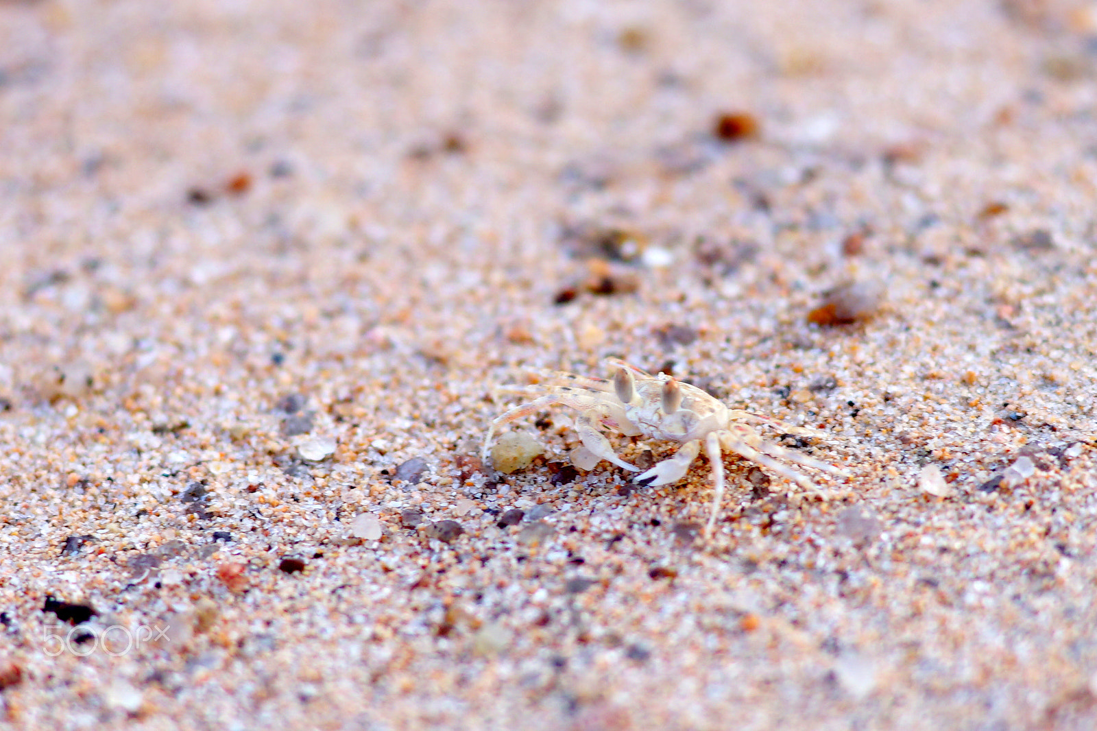 Sony a7 sample photo. Binh lap, cam ranh, vietnam photography