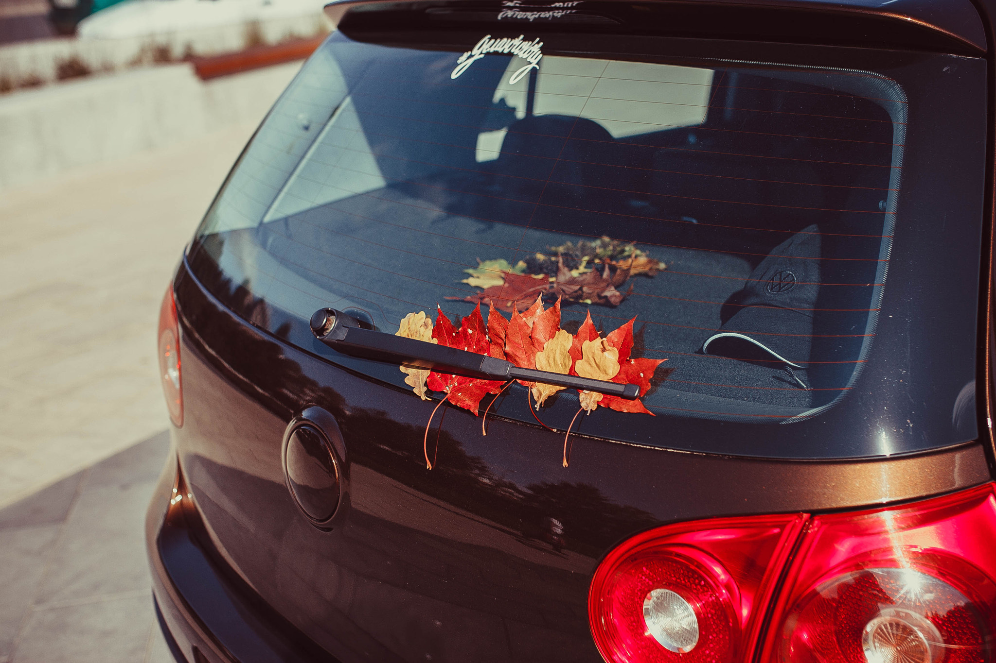 Canon EOS-1D Mark II sample photo. Vw golf v photography