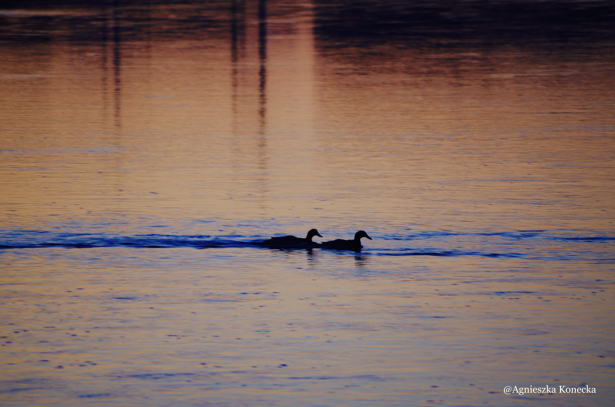 Pentax K-50 sample photo. In the morning photography