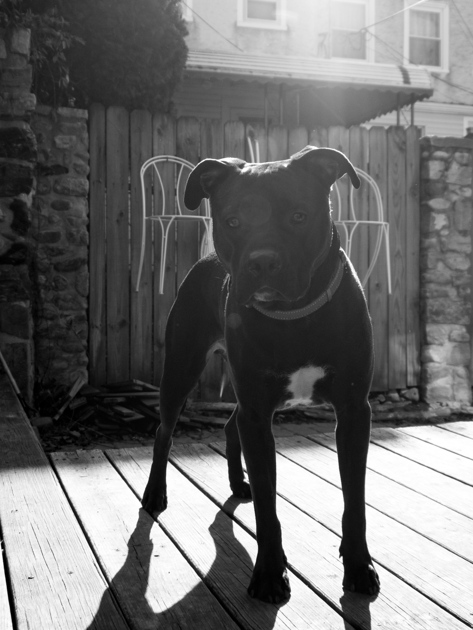 Olympus OM-D E-M10 sample photo. Handsome photography