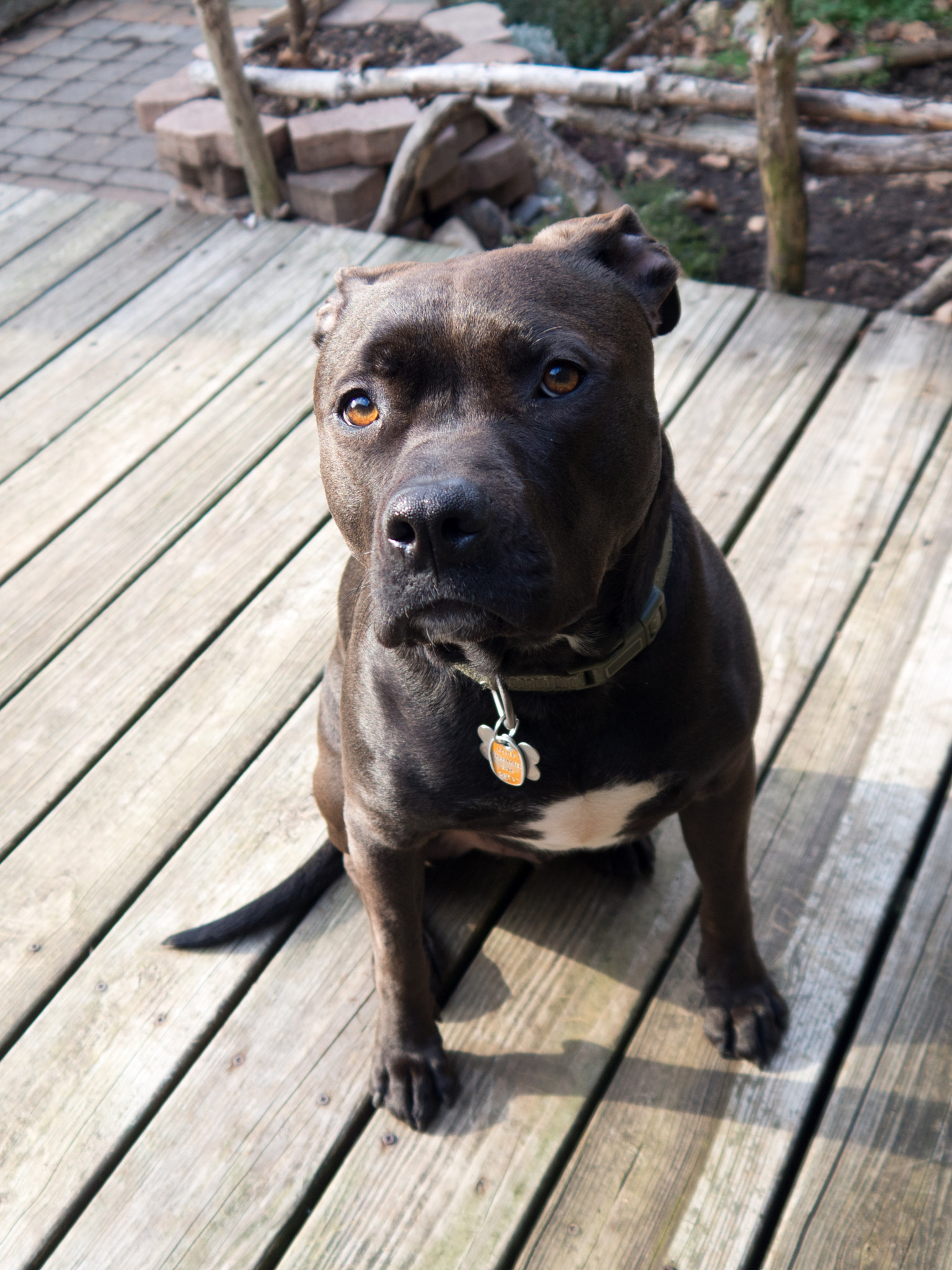 Olympus OM-D E-M10 sample photo. Snoot photography