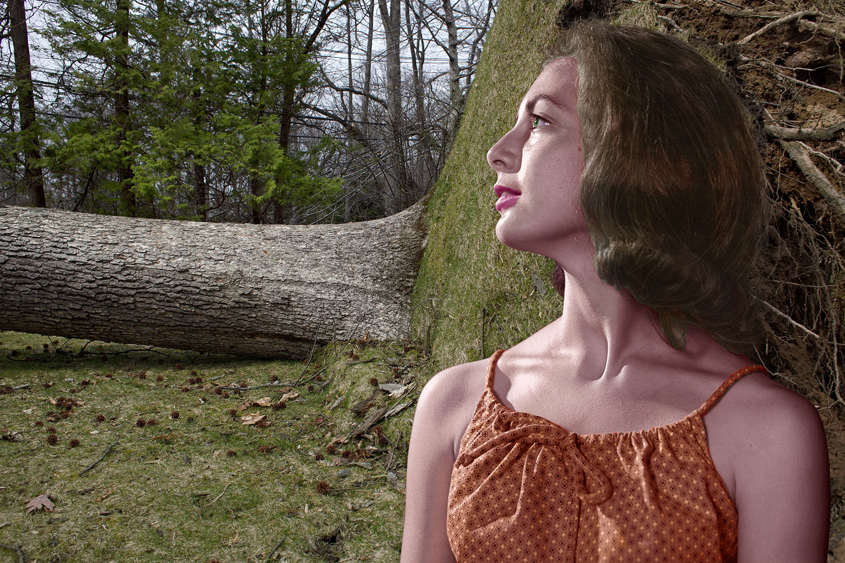 Canon EF 28mm F1.8 USM sample photo. Suppose woman tree b photography