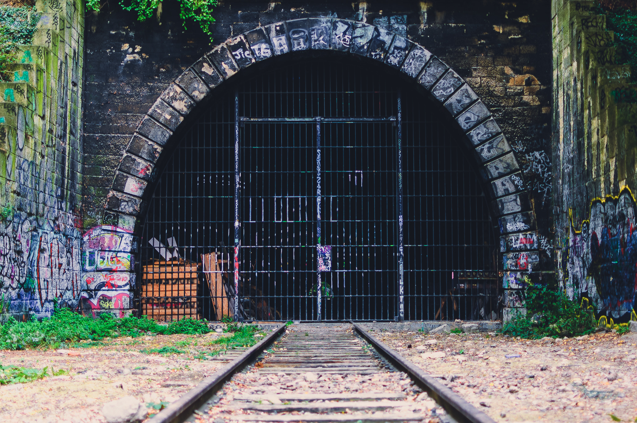 Nikon D70s + Nikon AF-S DX Nikkor 35mm F1.8G sample photo. Grille de la petite ceinture photography