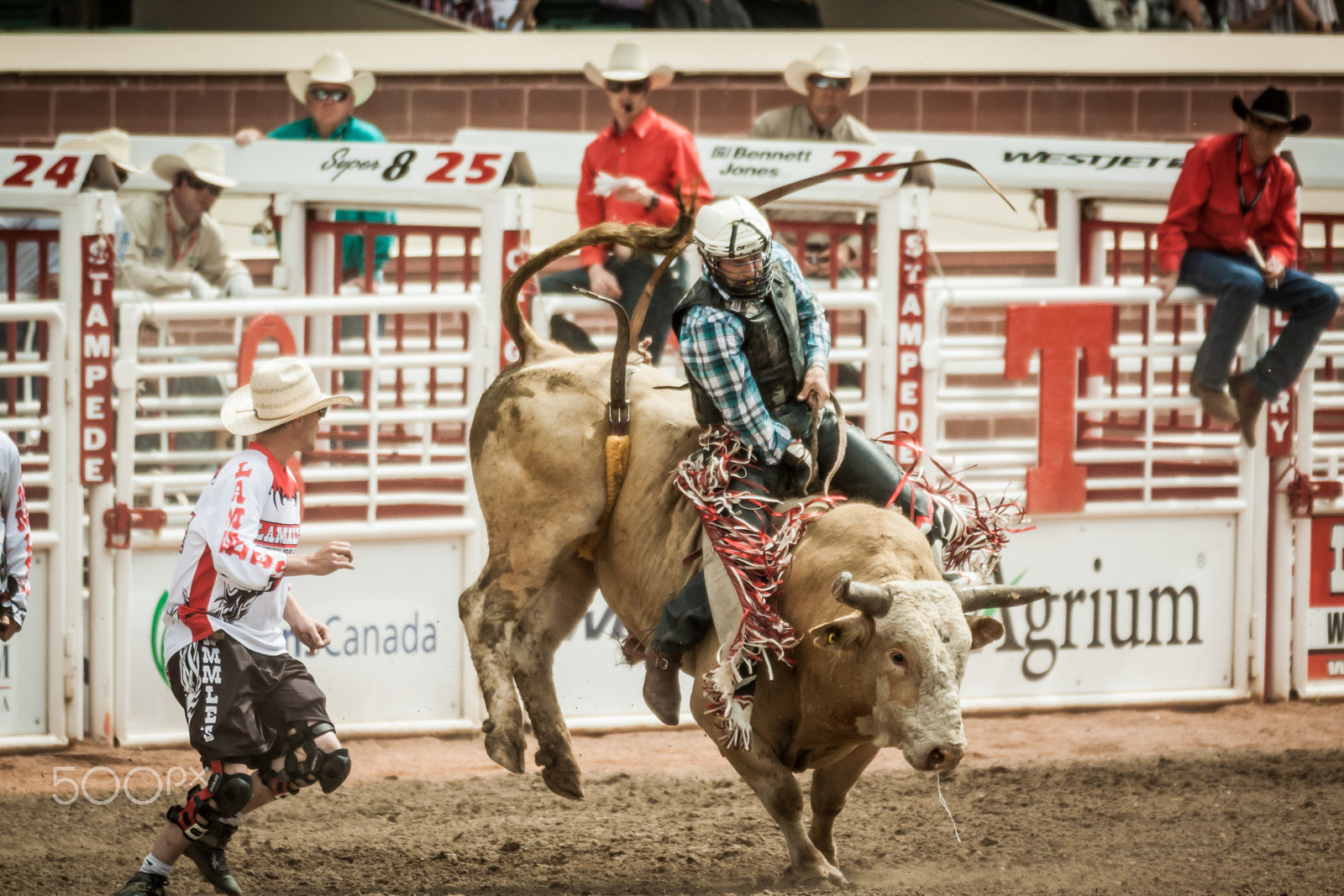 Canon EOS 50D + Canon EF 70-200mm F2.8L IS II USM sample photo. Bull riding photography