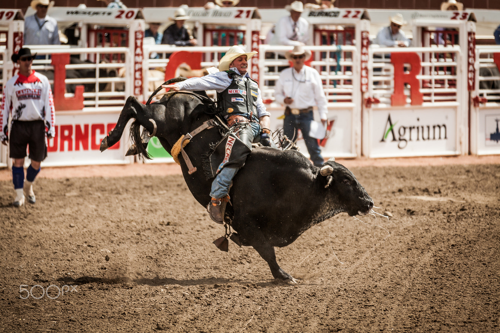 Canon EOS 5D Mark II + Canon EF 70-200mm F2.8L IS II USM sample photo. Bull riding photography