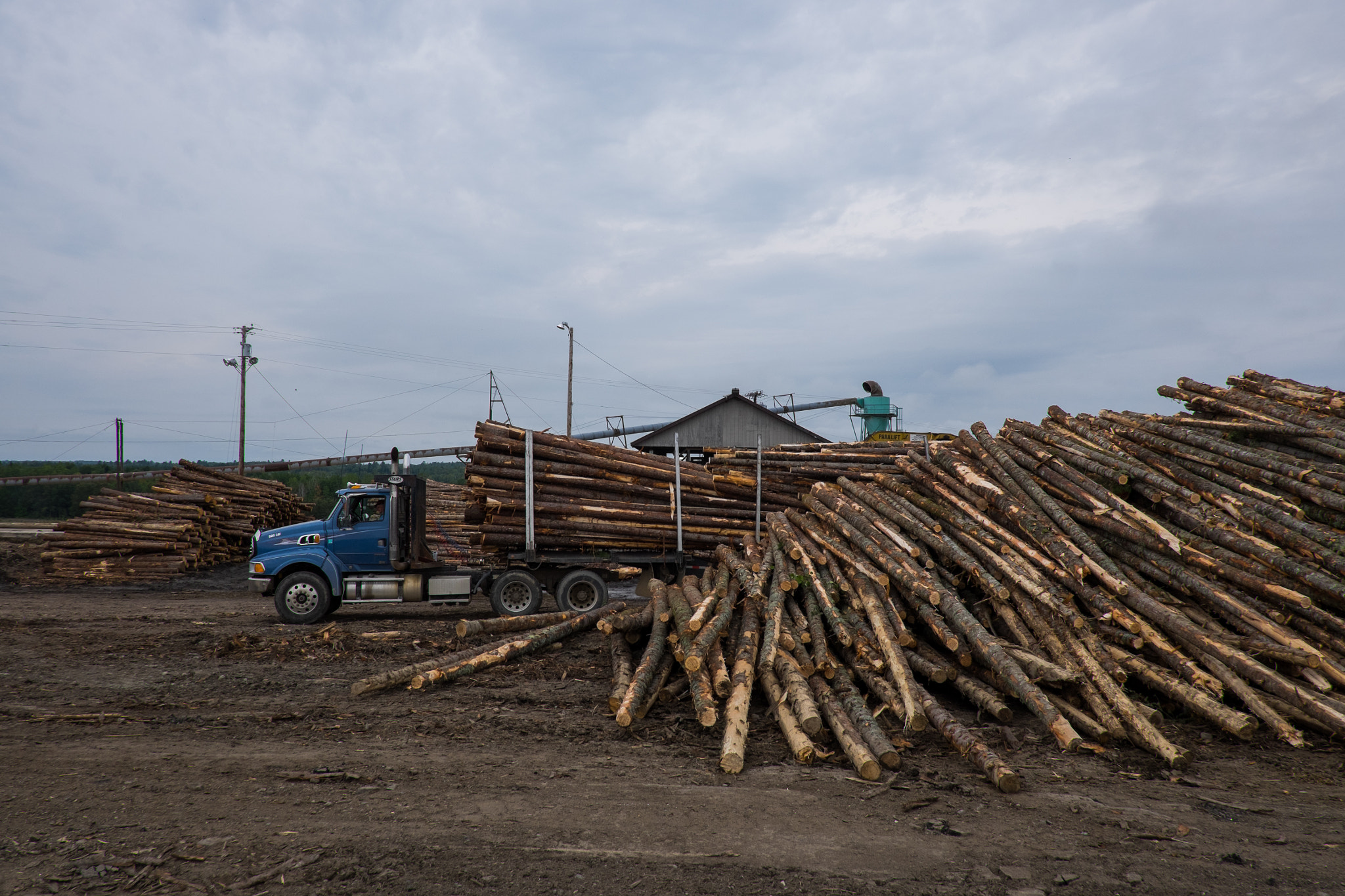 Fujifilm X-T1 + Fujifilm XF 18mm F2 R sample photo. Loggers photography