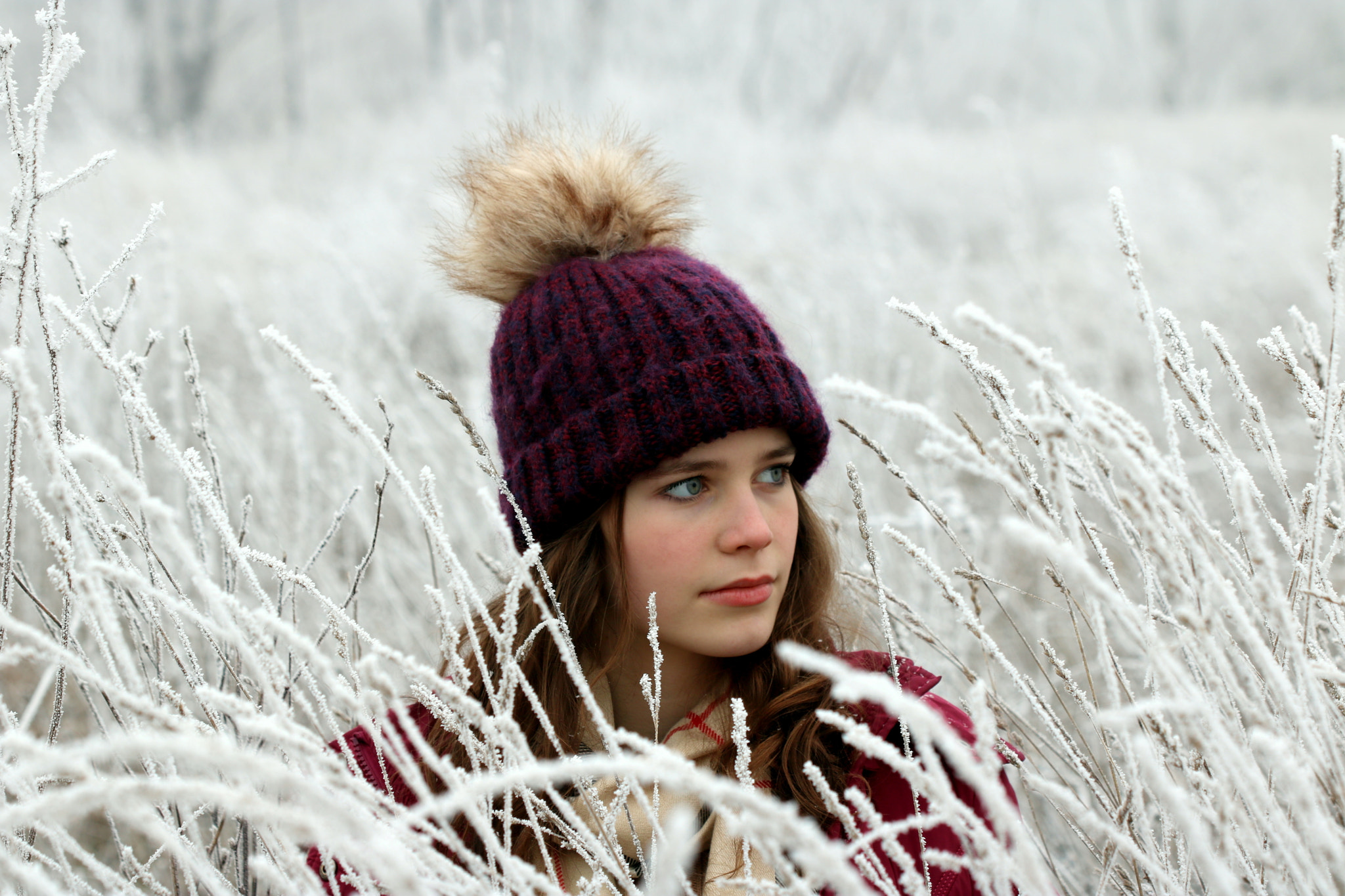 Canon EF 100mm F2.8 Macro USM sample photo. Beautiful blue eyes in the frosty field photography
