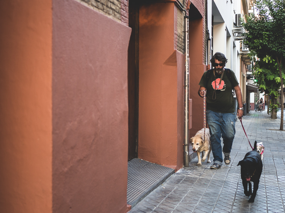 LUMIX G 25/F1.7 sample photo. Sevilla, 2016. photography