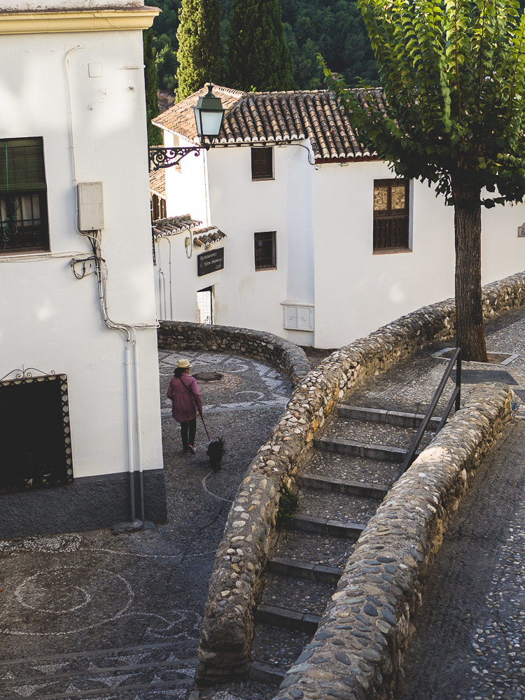 Olympus OM-D E-M10 + LUMIX G 25/F1.7 sample photo. Granada, 2016. photography