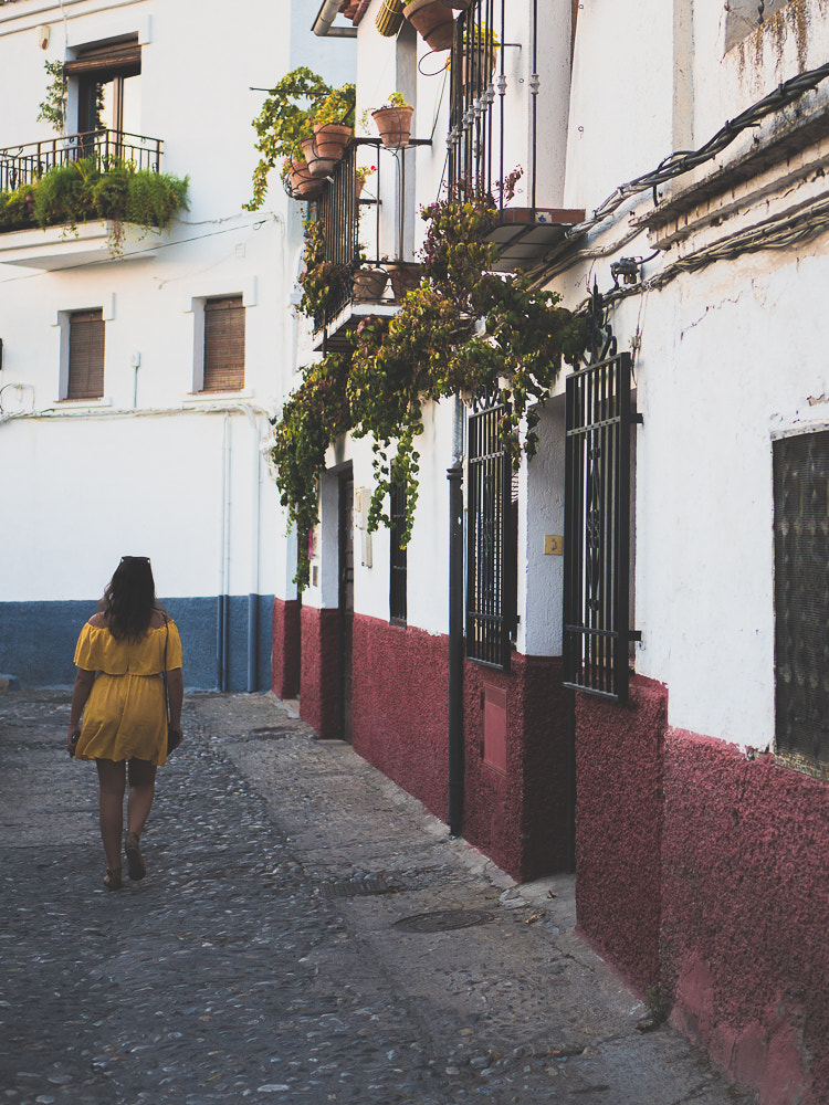 Olympus OM-D E-M10 + LUMIX G 25/F1.7 sample photo. Granada, 2016. photography