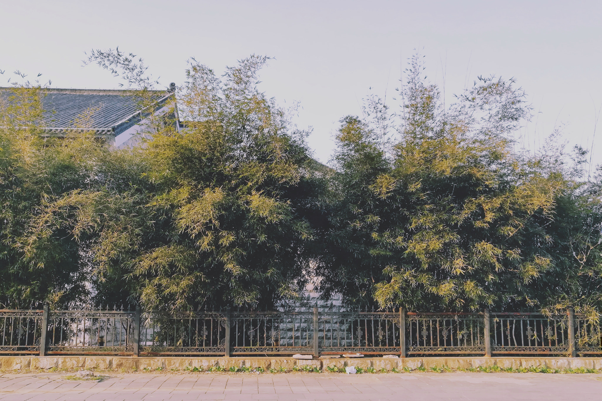 HUAWEI c??Eu?s 6X sample photo. 闲散人家 photography