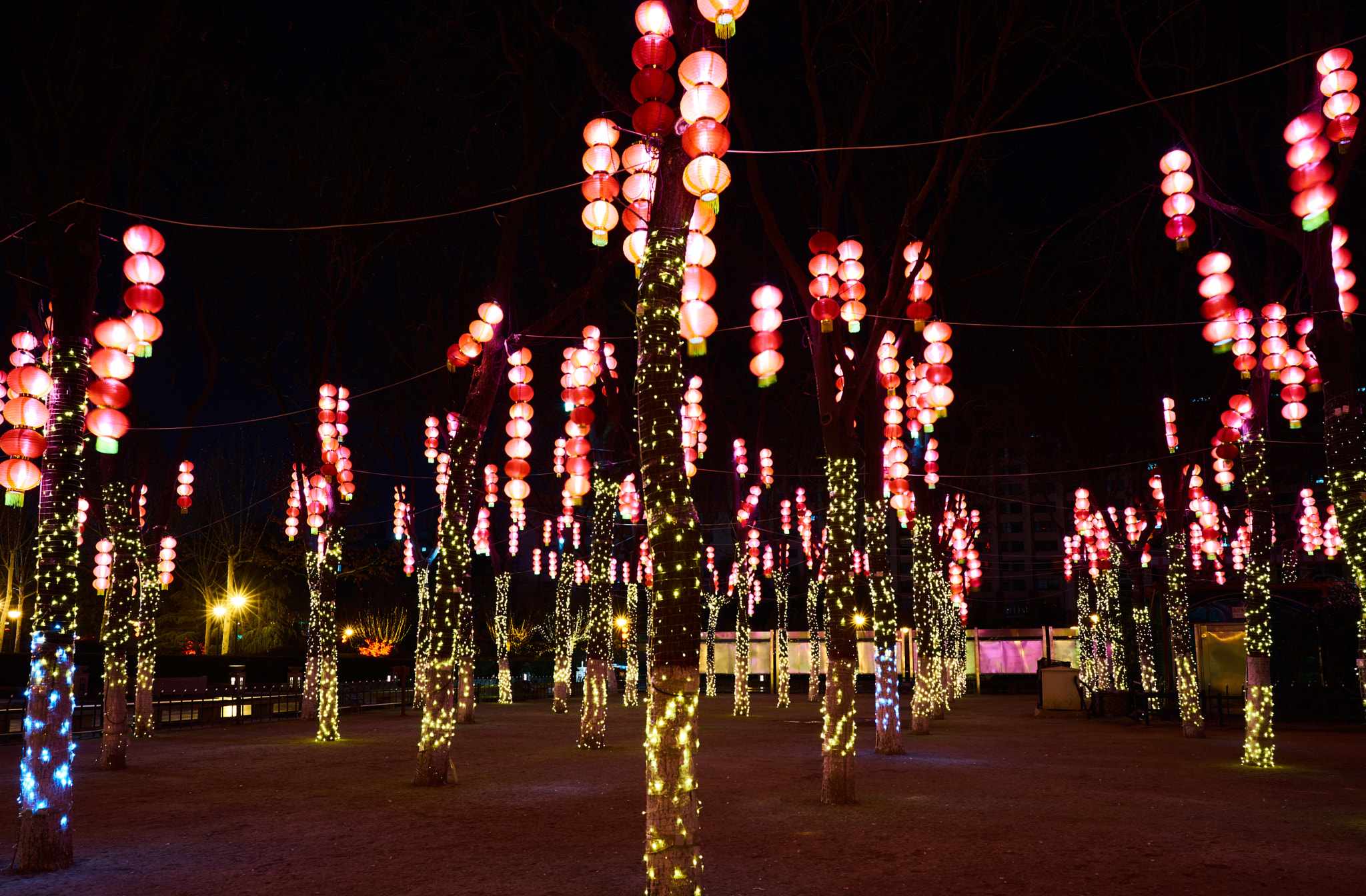 ZEISS Batis 25mm F2 sample photo. 广场灯笼 photography