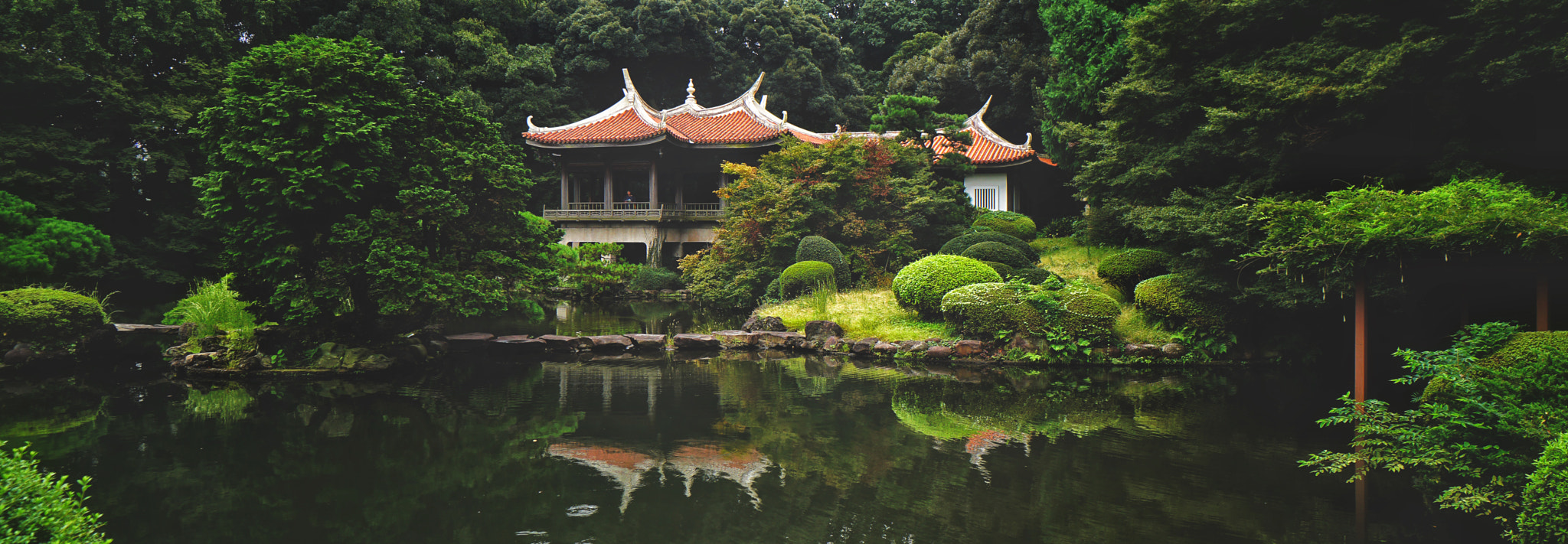 Sony a6300 + Sony E 10-18mm F4 OSS sample photo. Shinjuku national garden photography