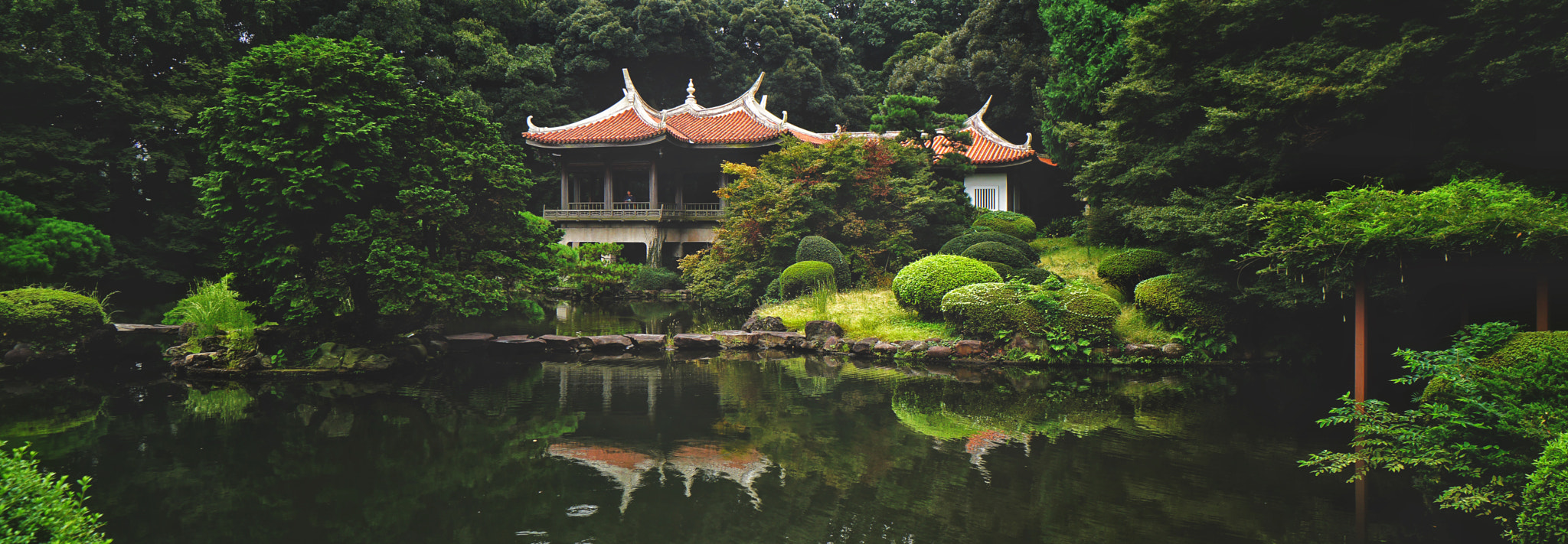 Sony a6300 sample photo. Shinjuku national garden photography