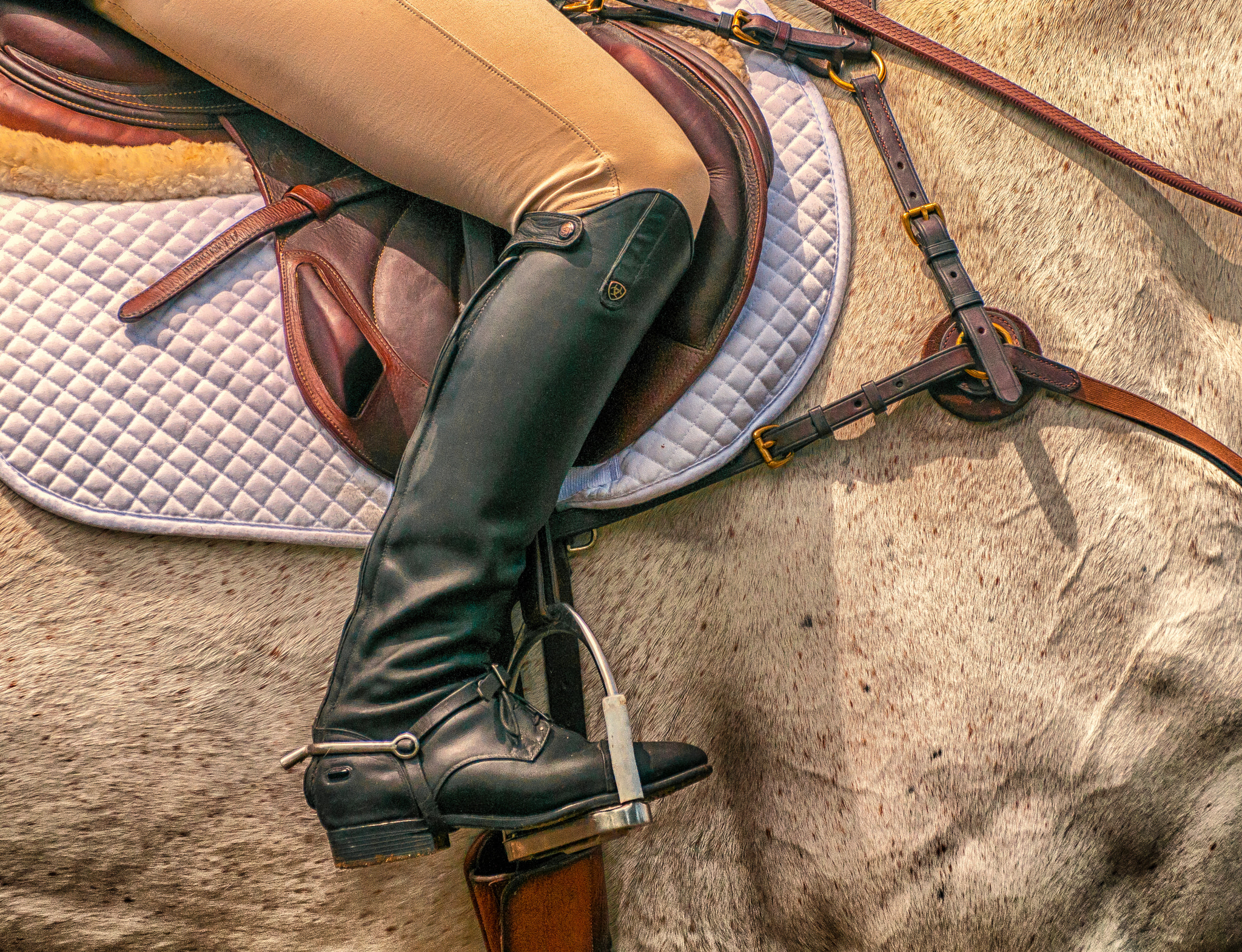 Nikon D300 sample photo. Boot and stirup photography