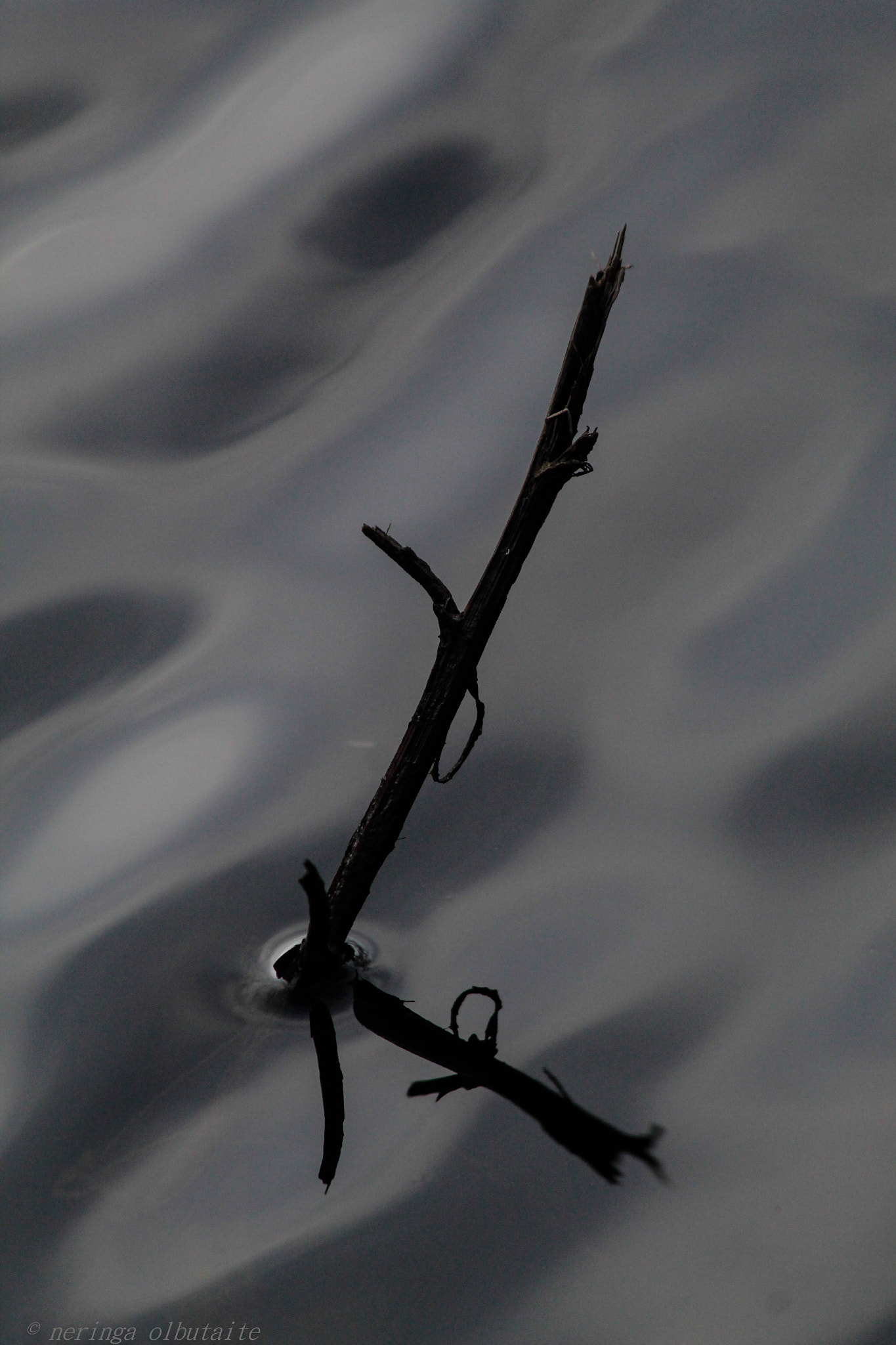 Canon EF 70-300mm F4-5.6 IS USM sample photo. Love reflections 2 photography