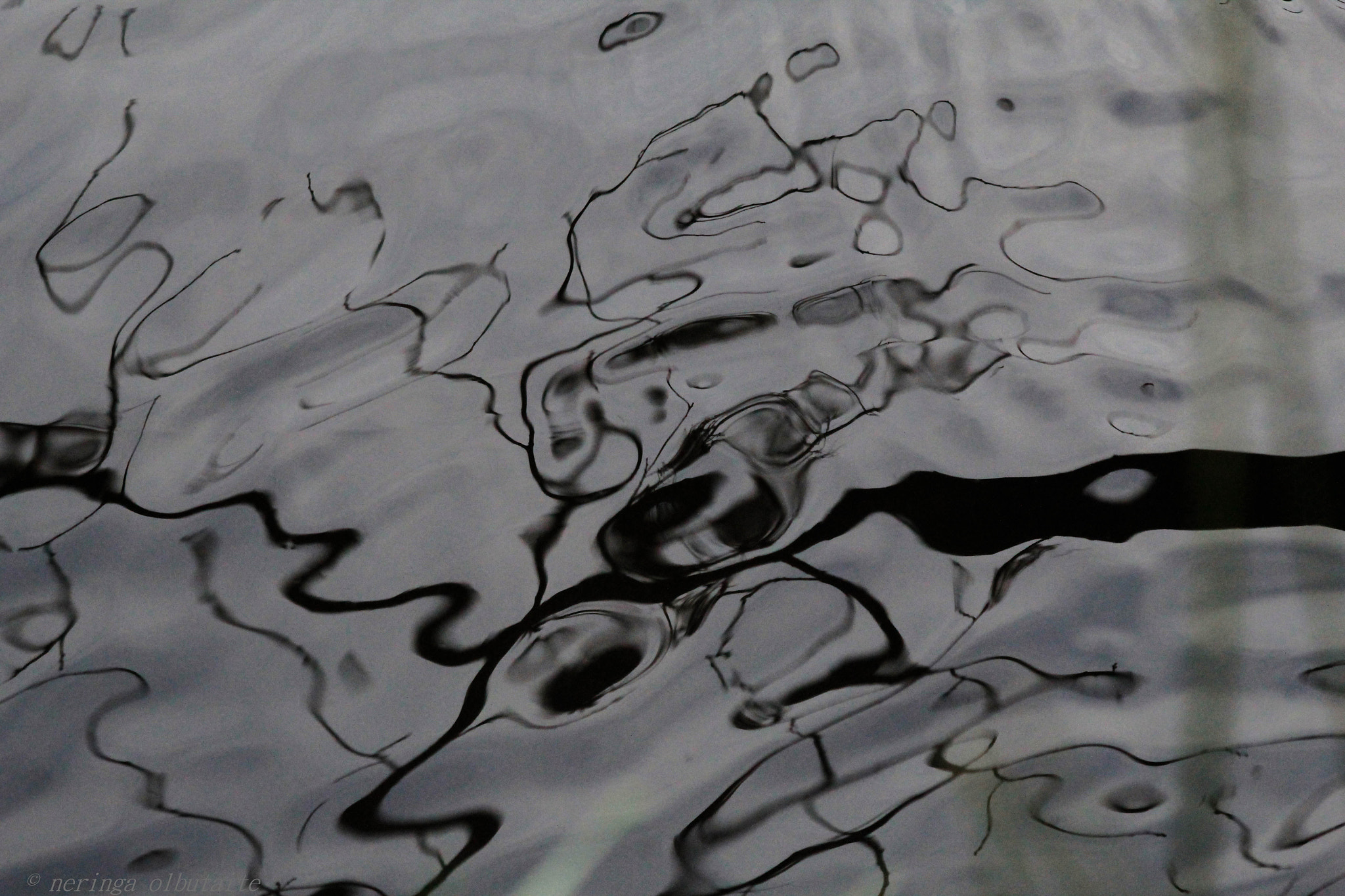 Canon EF 70-300mm F4-5.6 IS USM sample photo. Love reflections 3 photography