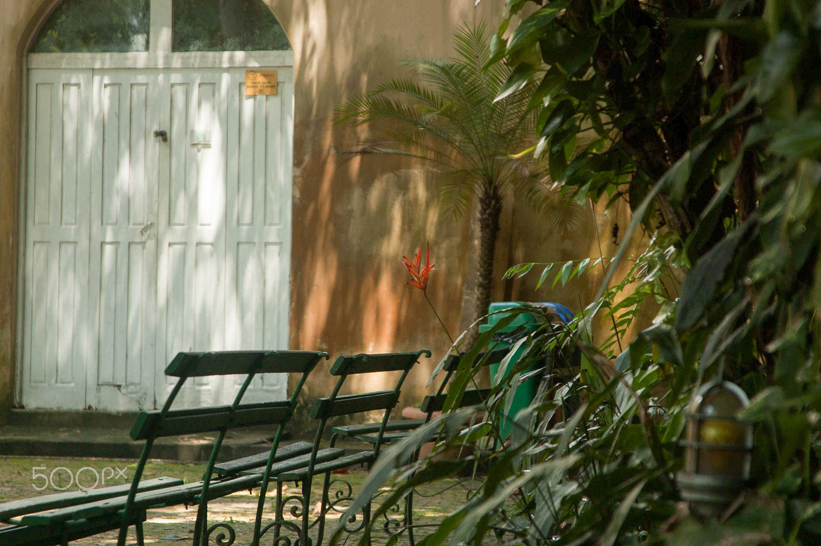 Nikon D40 sample photo