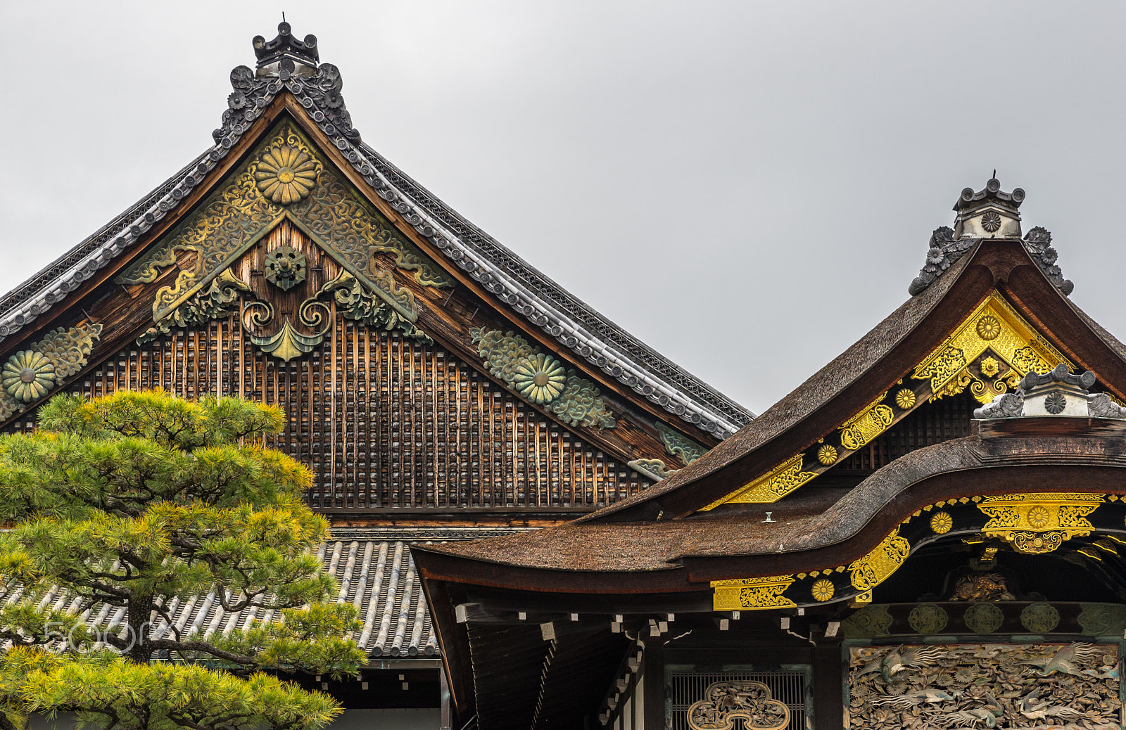 Tamron SP 24-70mm F2.8 Di VC USD sample photo. Nijo roof photography
