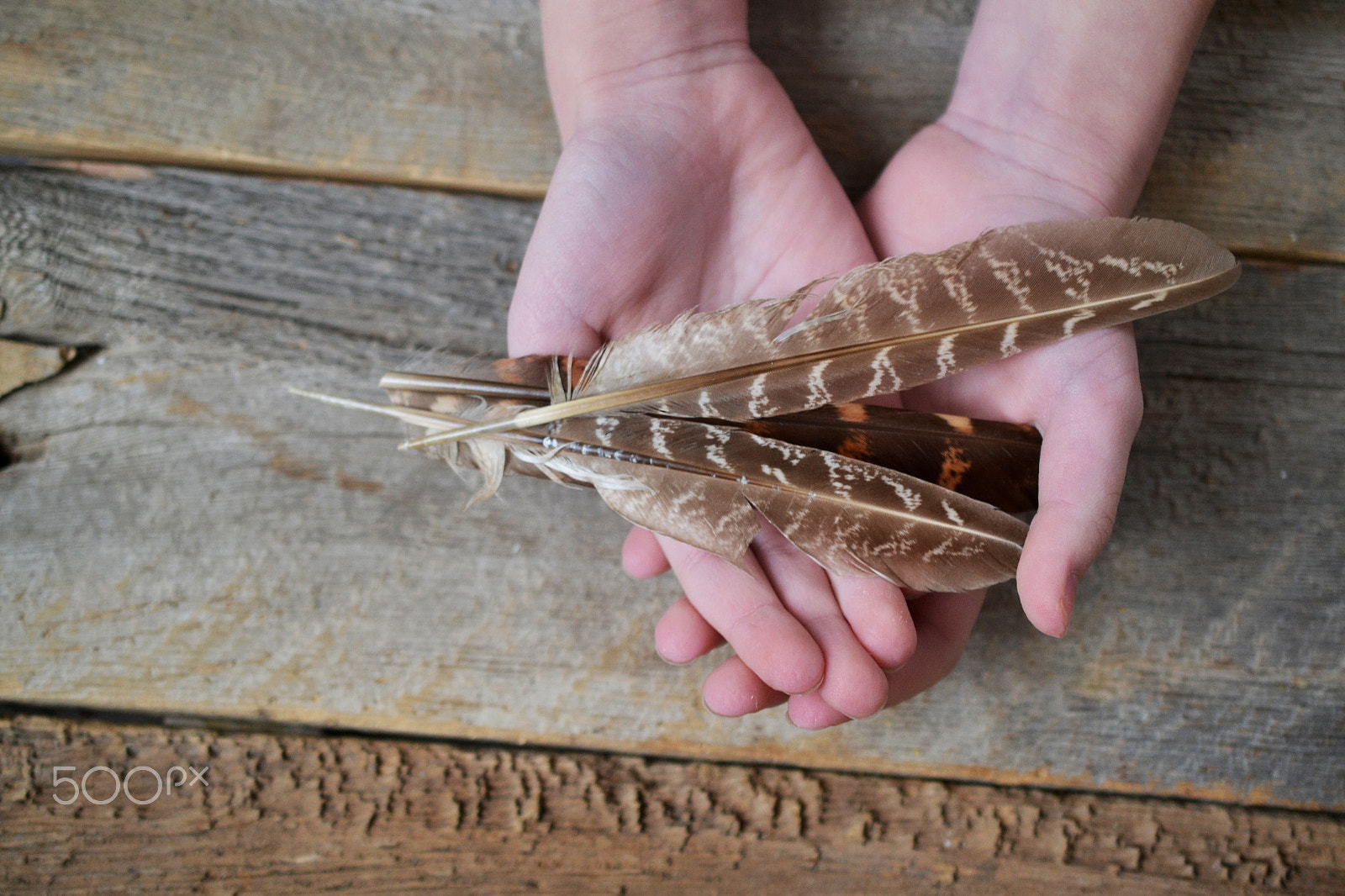 Nikon AF-S DX Micro Nikkor 40mm F2.8 sample photo. Feathers in hands on barnboard photography