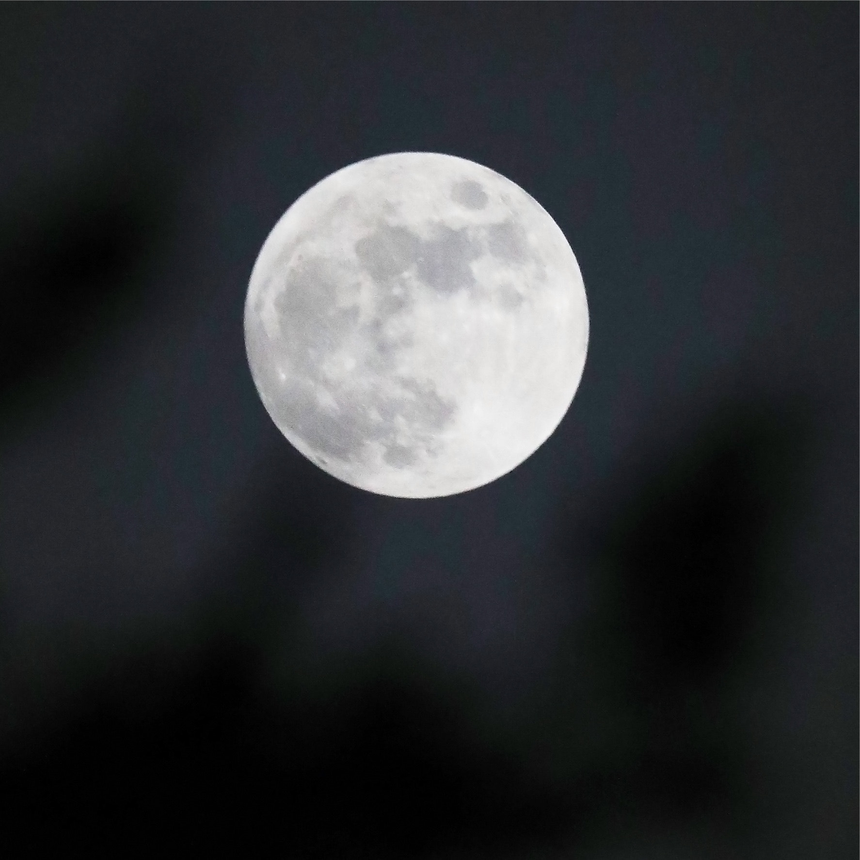 Canon EF 300mm F2.8L IS II USM sample photo. #allmoustfullmoon#lähestäysikuu#evening#dark#winter# photography