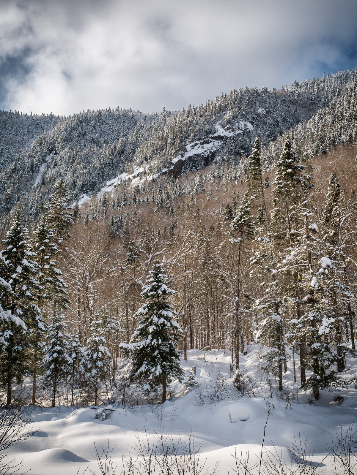 Panasonic Lumix DMC-G85 (Lumix DMC-G80) sample photo. Snowy hills photography