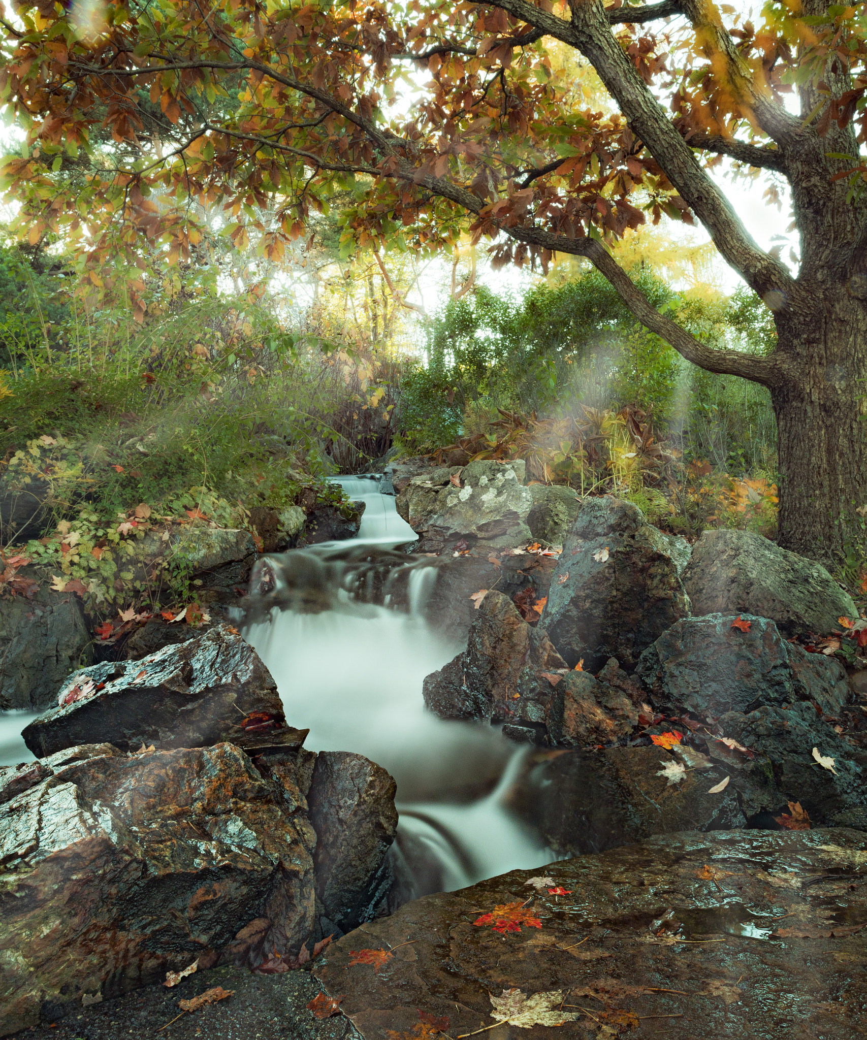Canon EF 24-70mm F2.8L USM sample photo. Waterfall photography