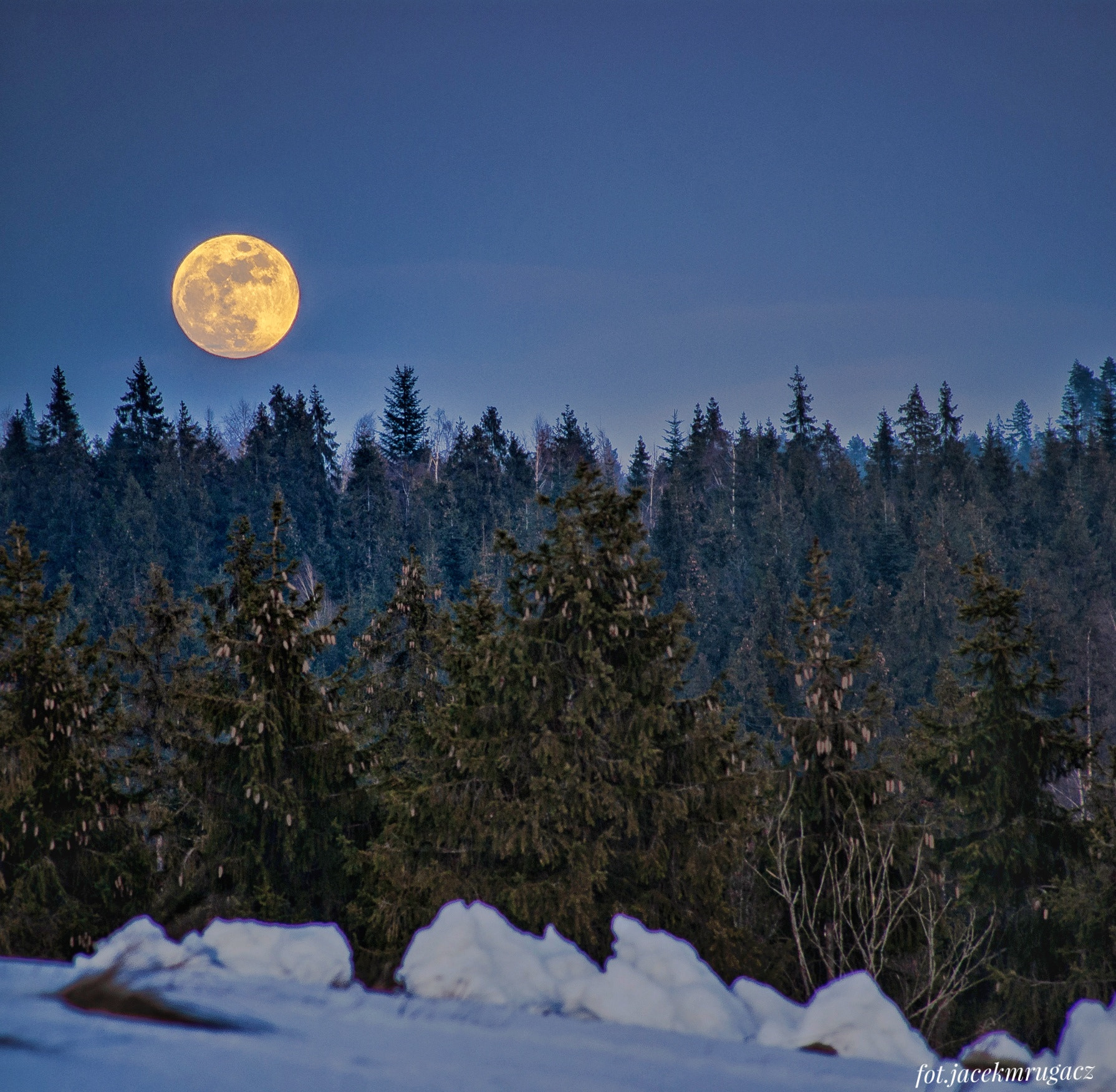 Sony Alpha DSLR-A330 sample photo. Moon photography