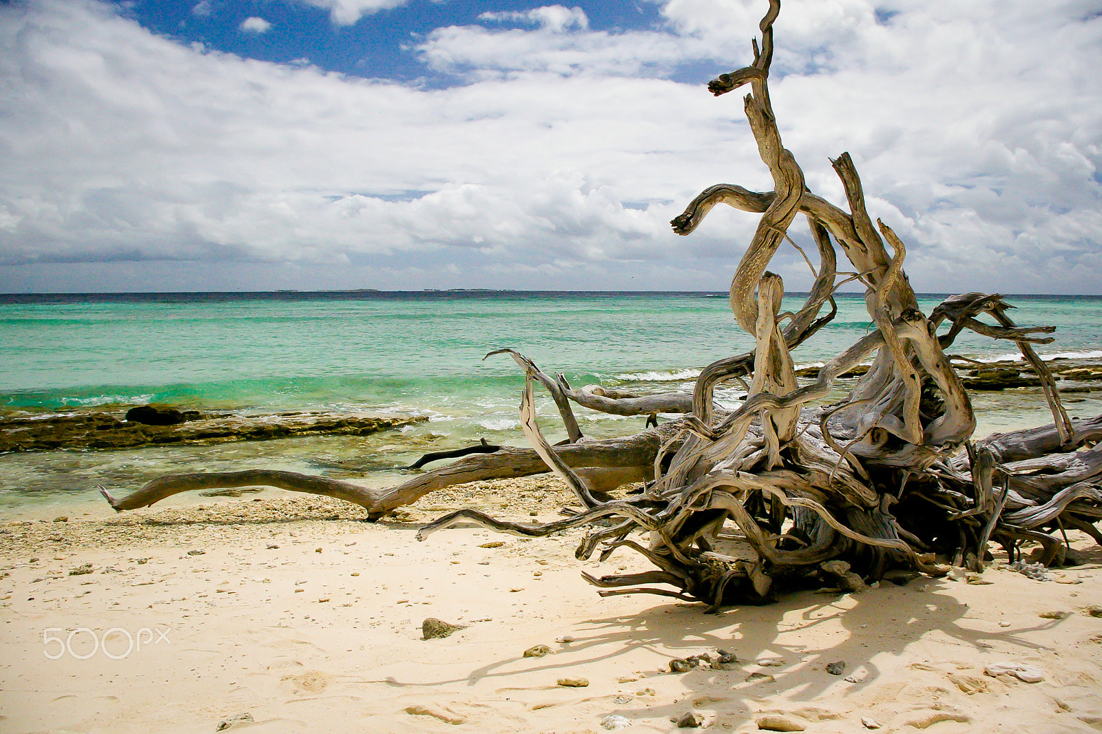 Pentax K100D sample photo. Musgrave island photography