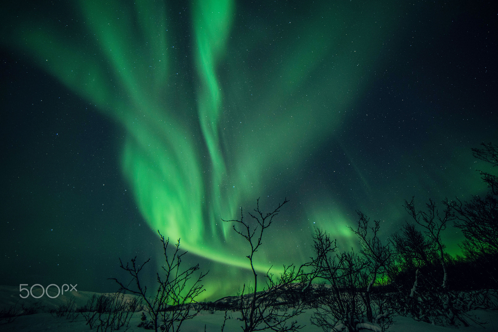 Samyang 14mm F2.8 ED AS IF UMC sample photo. Northern lights photography