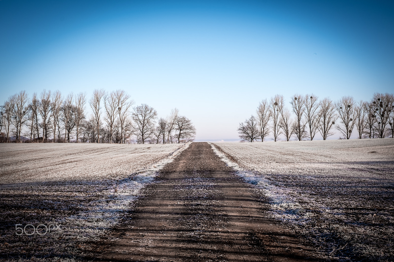 Fujifilm X-E2S sample photo. Winterliche feldwege photography