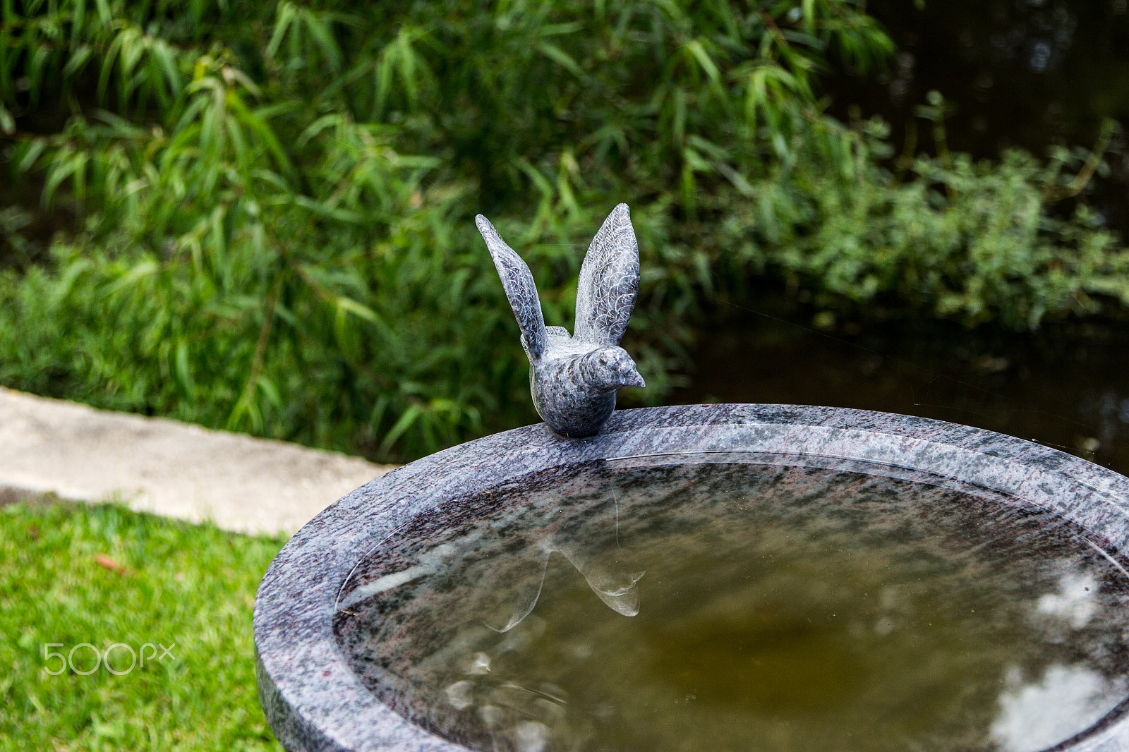 Canon EOS 700D (EOS Rebel T5i / EOS Kiss X7i) sample photo. Ready to fly photography