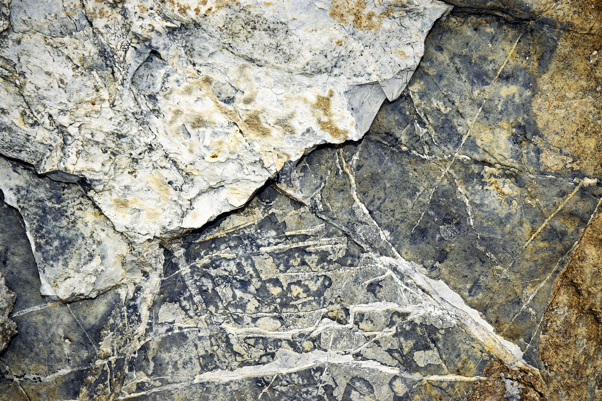 Nikon D5500 sample photo. Limestone detail stone photography