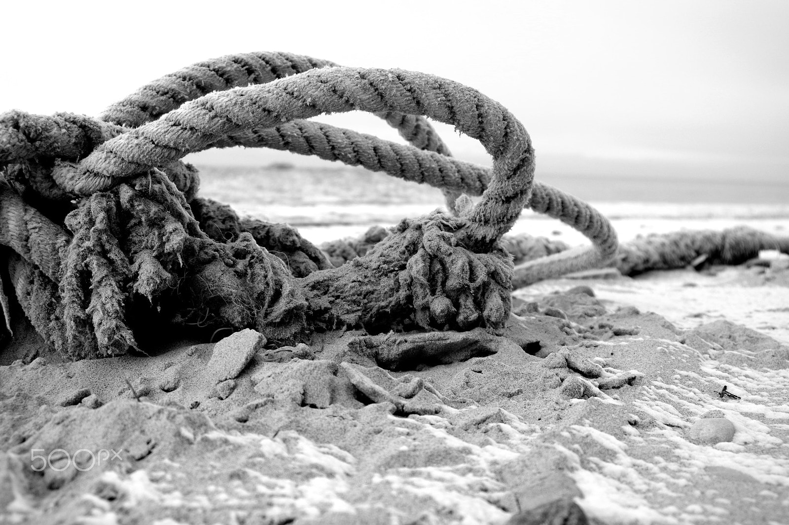 Pentax K-3 II sample photo. Rope photography